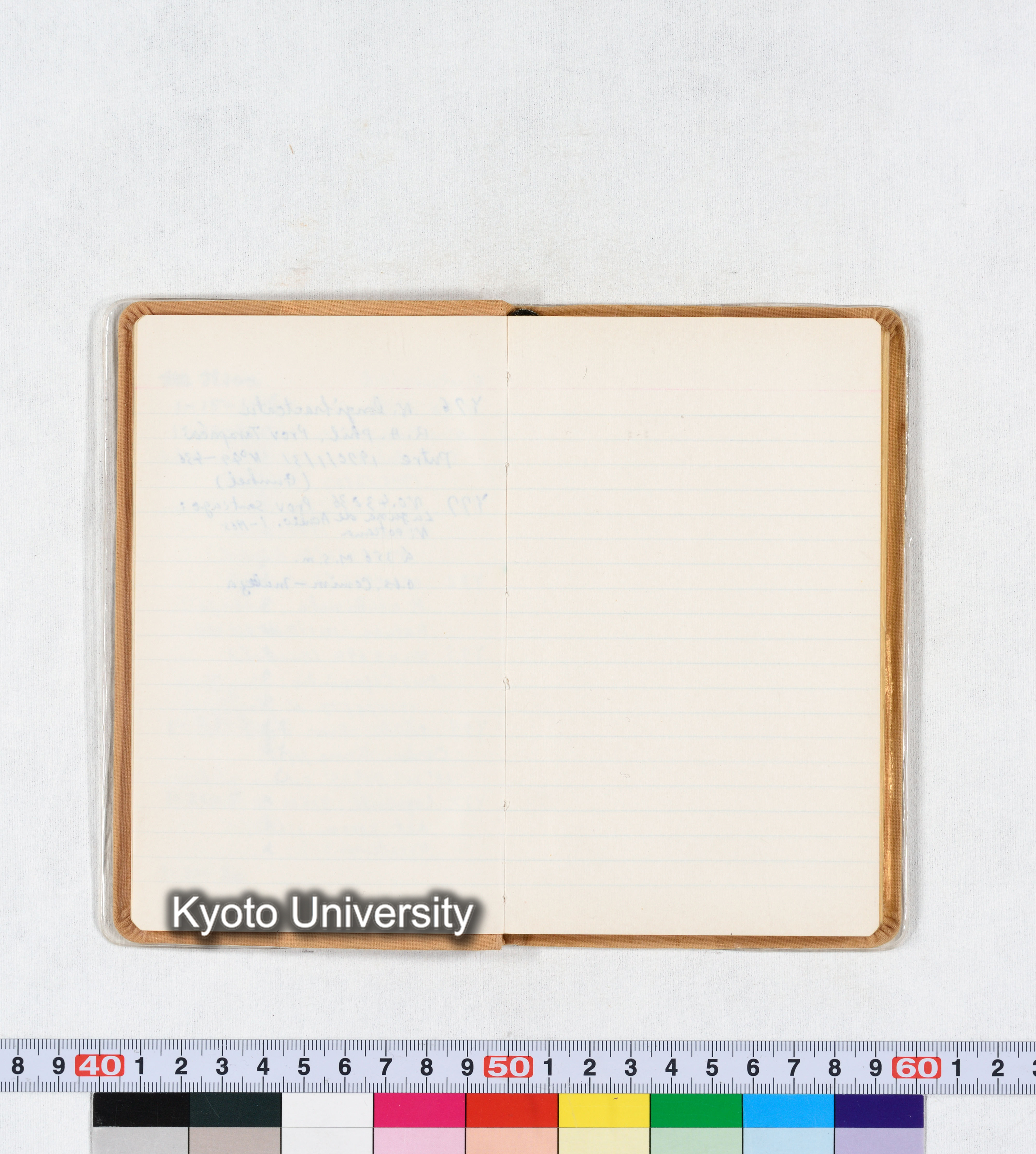 ［トウモロコシ］ (8)