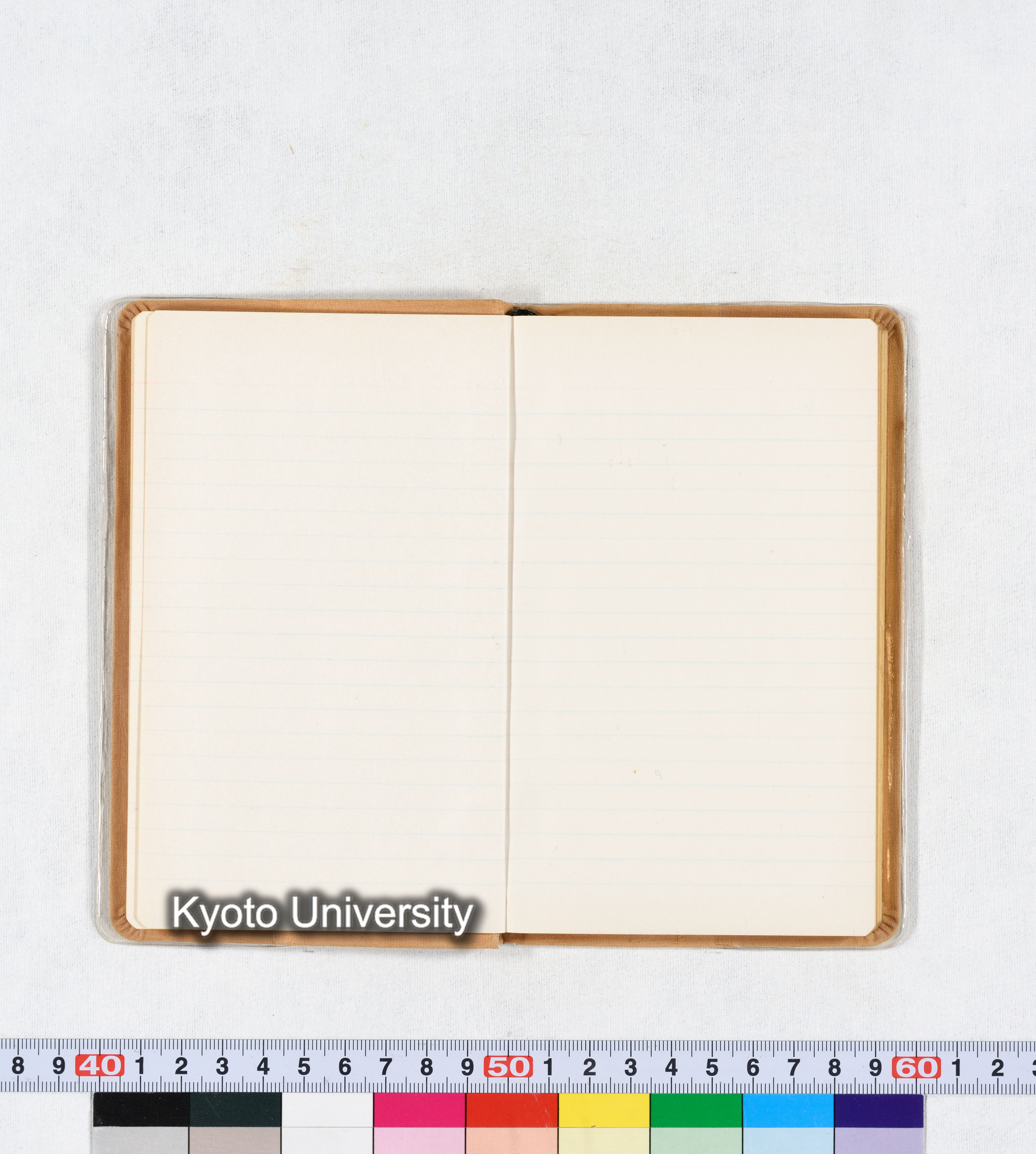 ［トウモロコシ］ (14)