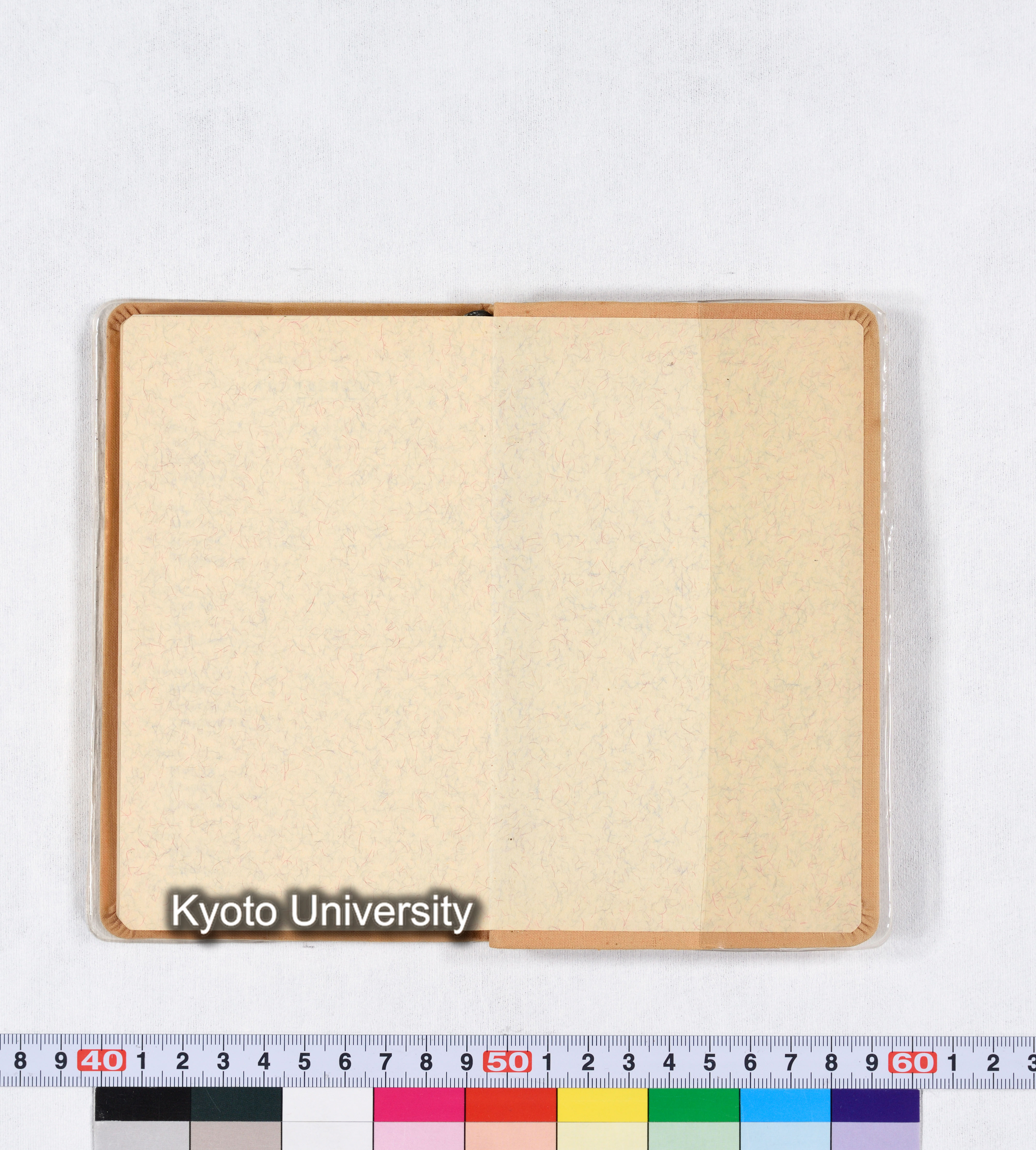 ［トウモロコシ］ (27)