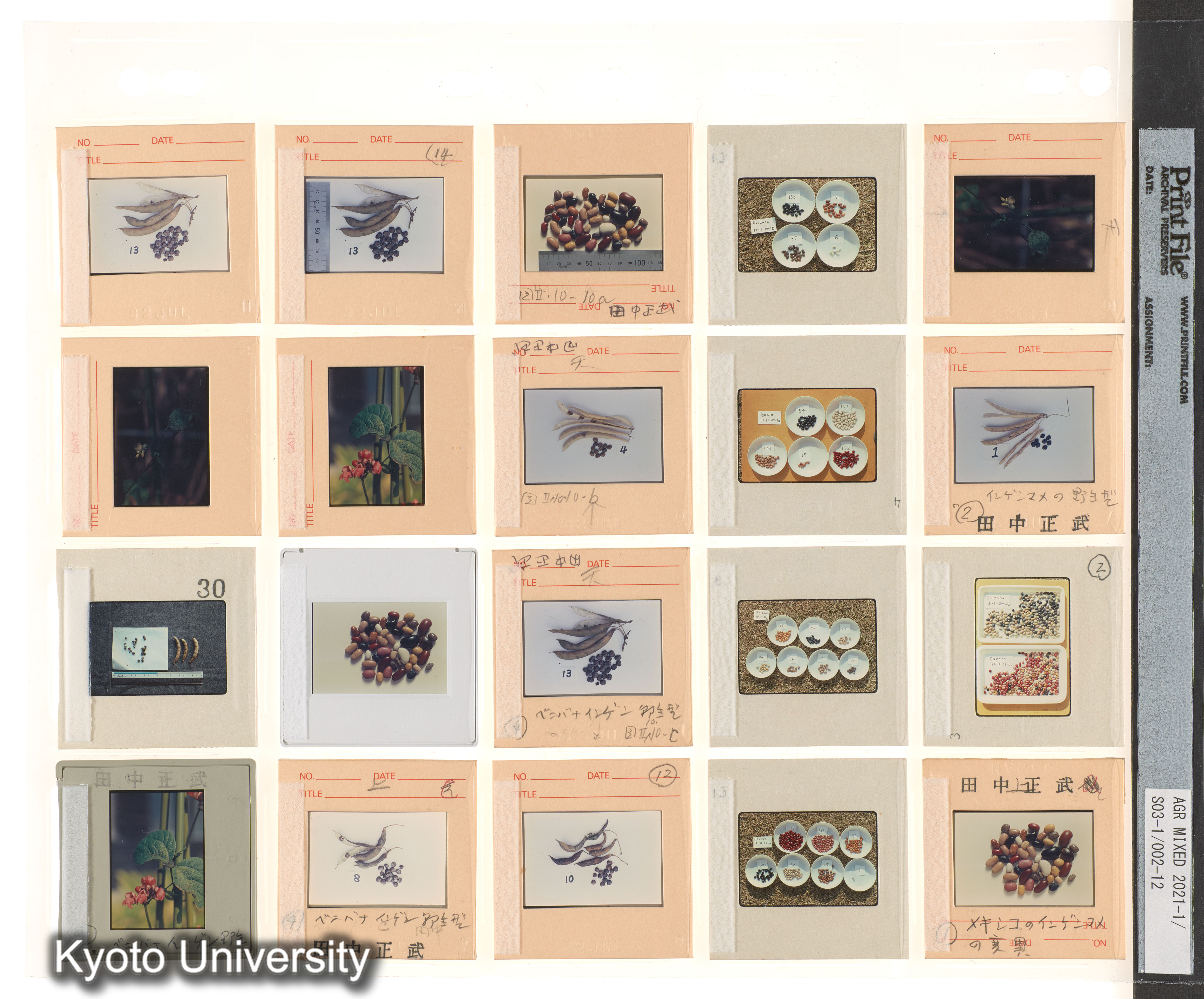 ［BEMの各種採集視点；種なしスイカ；中南米有用植物］ (8)