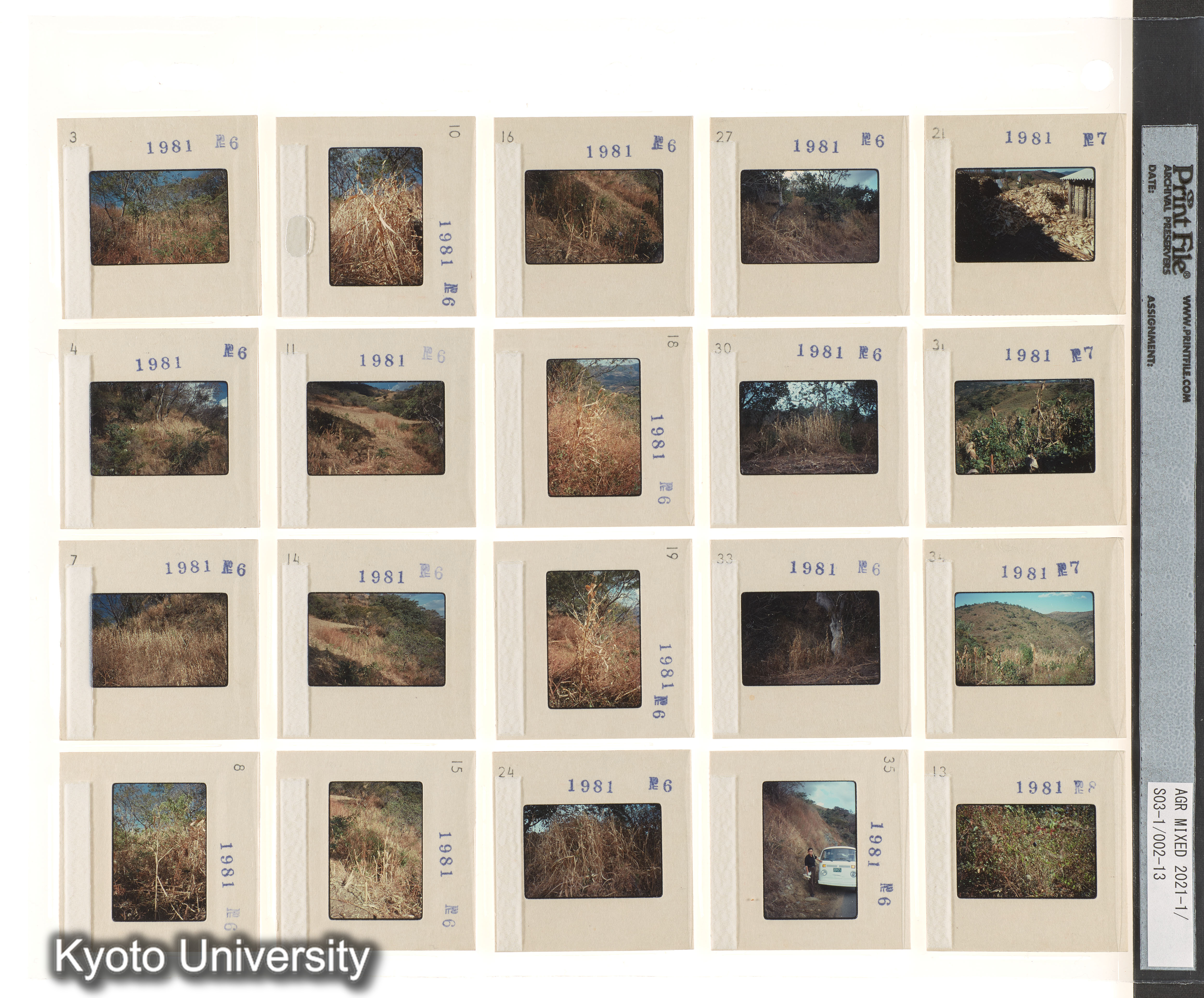 ［BEMの各種採集視点；種なしスイカ；中南米有用植物］ (9)