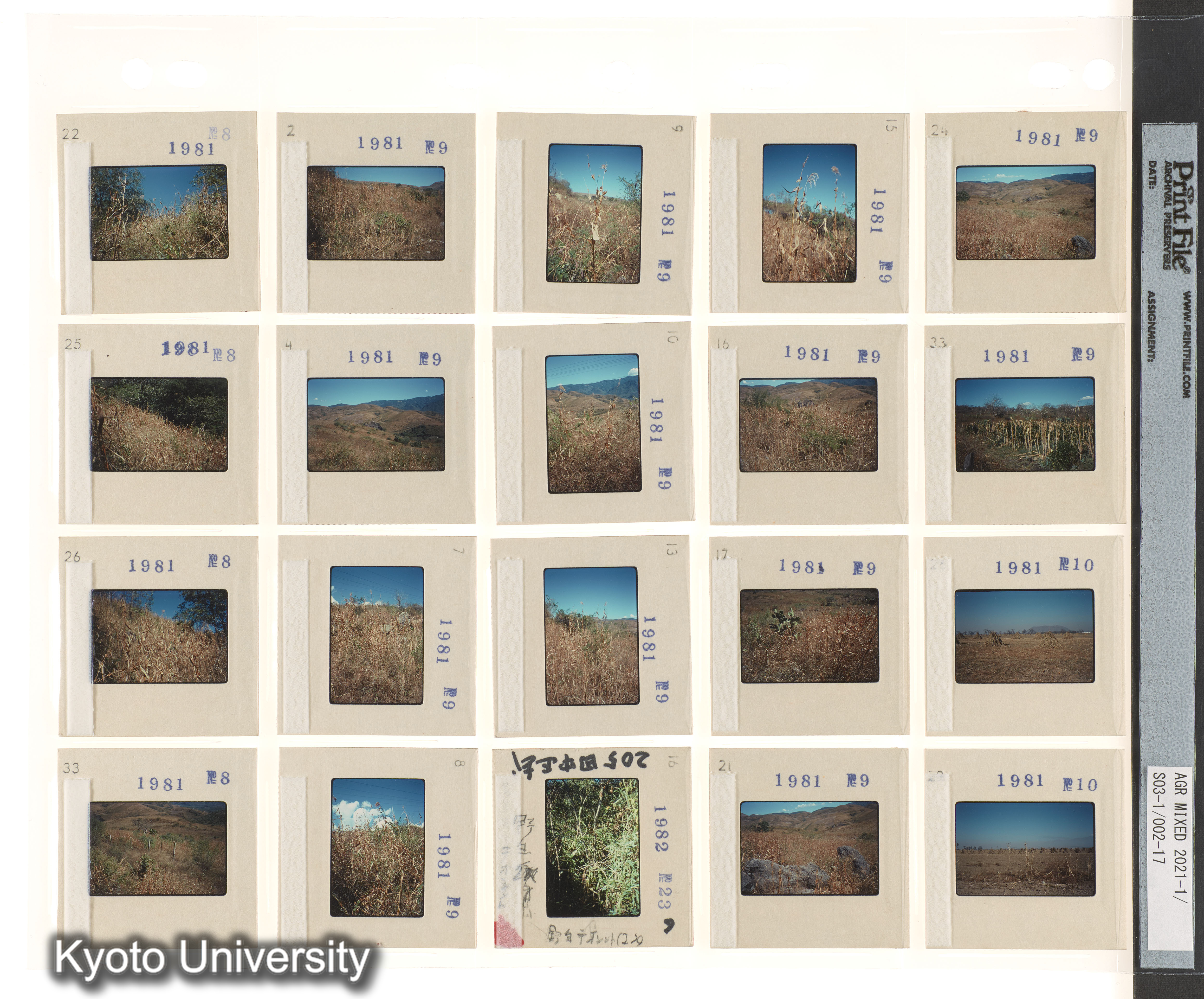 ［BEMの各種採集視点；種なしスイカ；中南米有用植物］ (10)