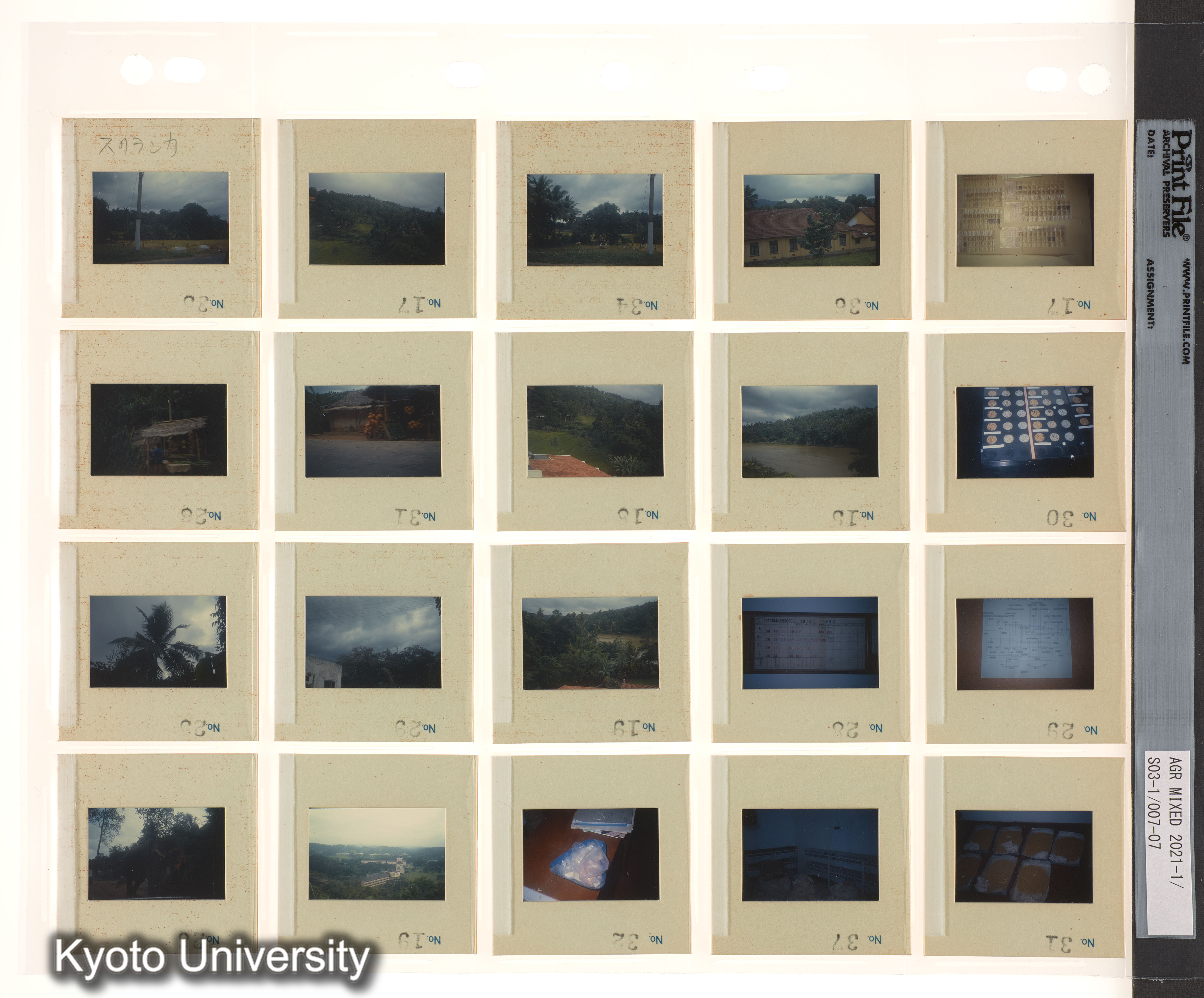 ［スリランカ；国際コムギ遺伝学シンポジウム1978；さまざまな植物の種子と穂；チベット］ (1)