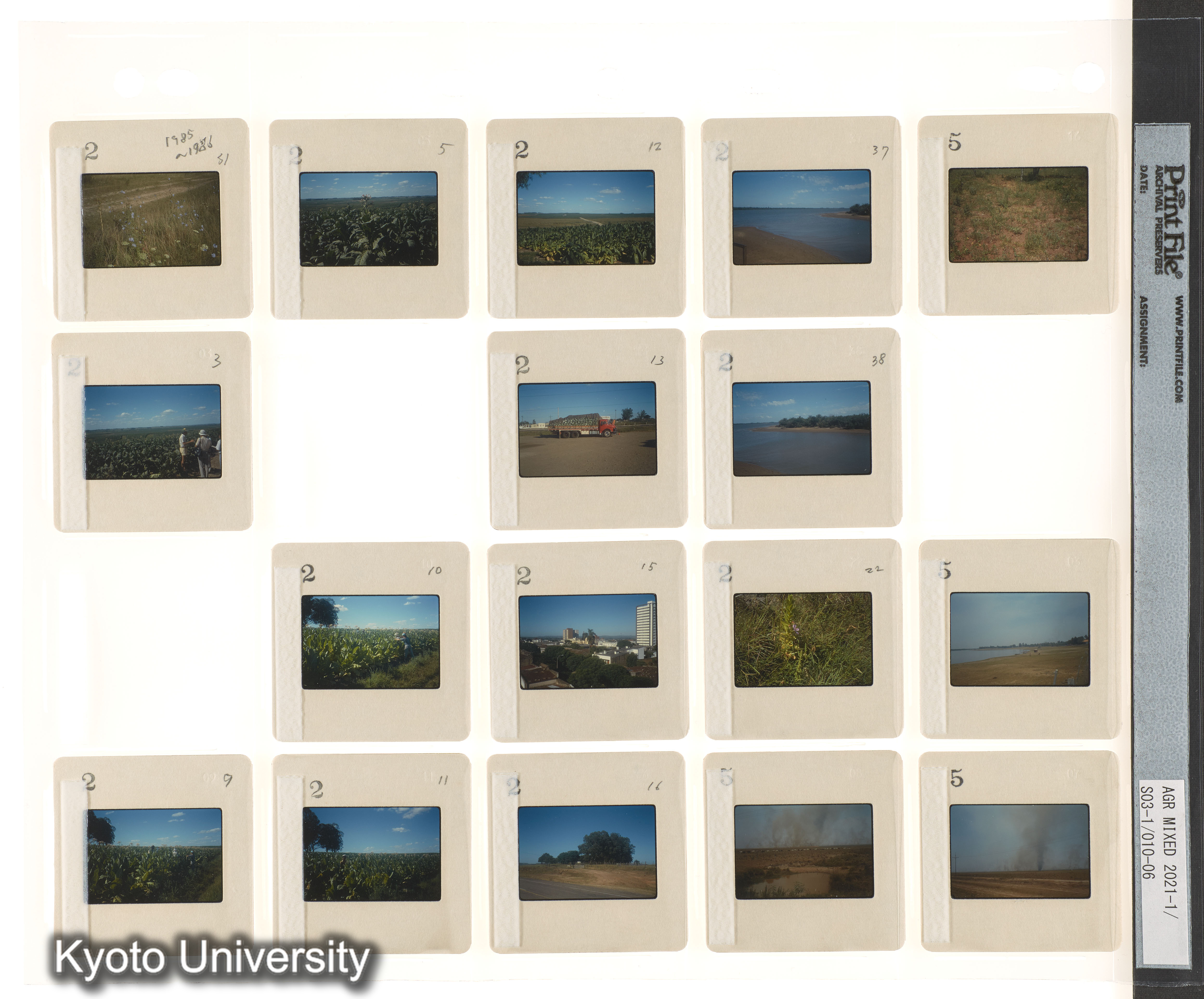 BMUK；ブラジル、パラグアイ、ウルグアイ (1)