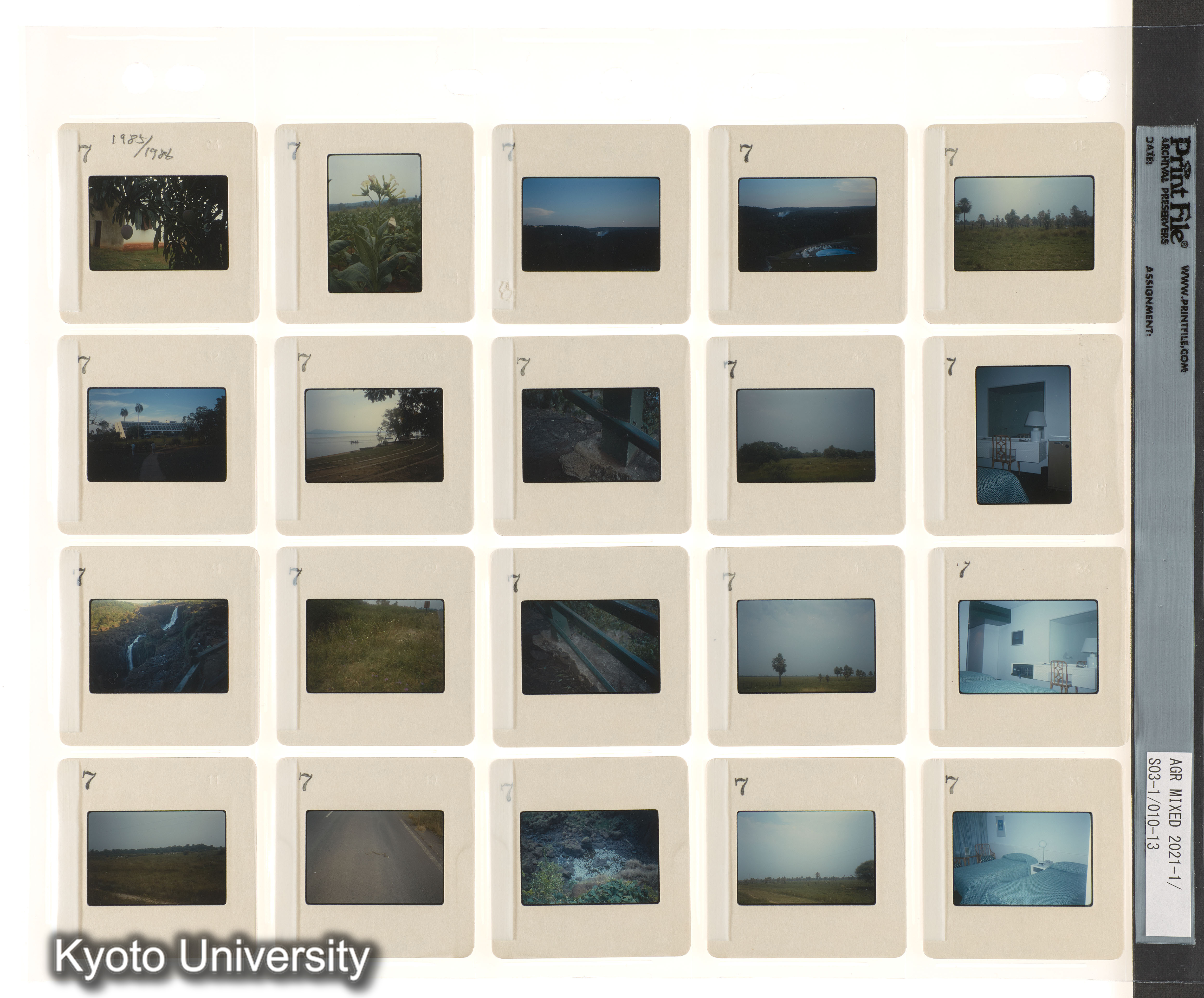 BMUK；ブラジル、パラグアイ、ウルグアイ (3)