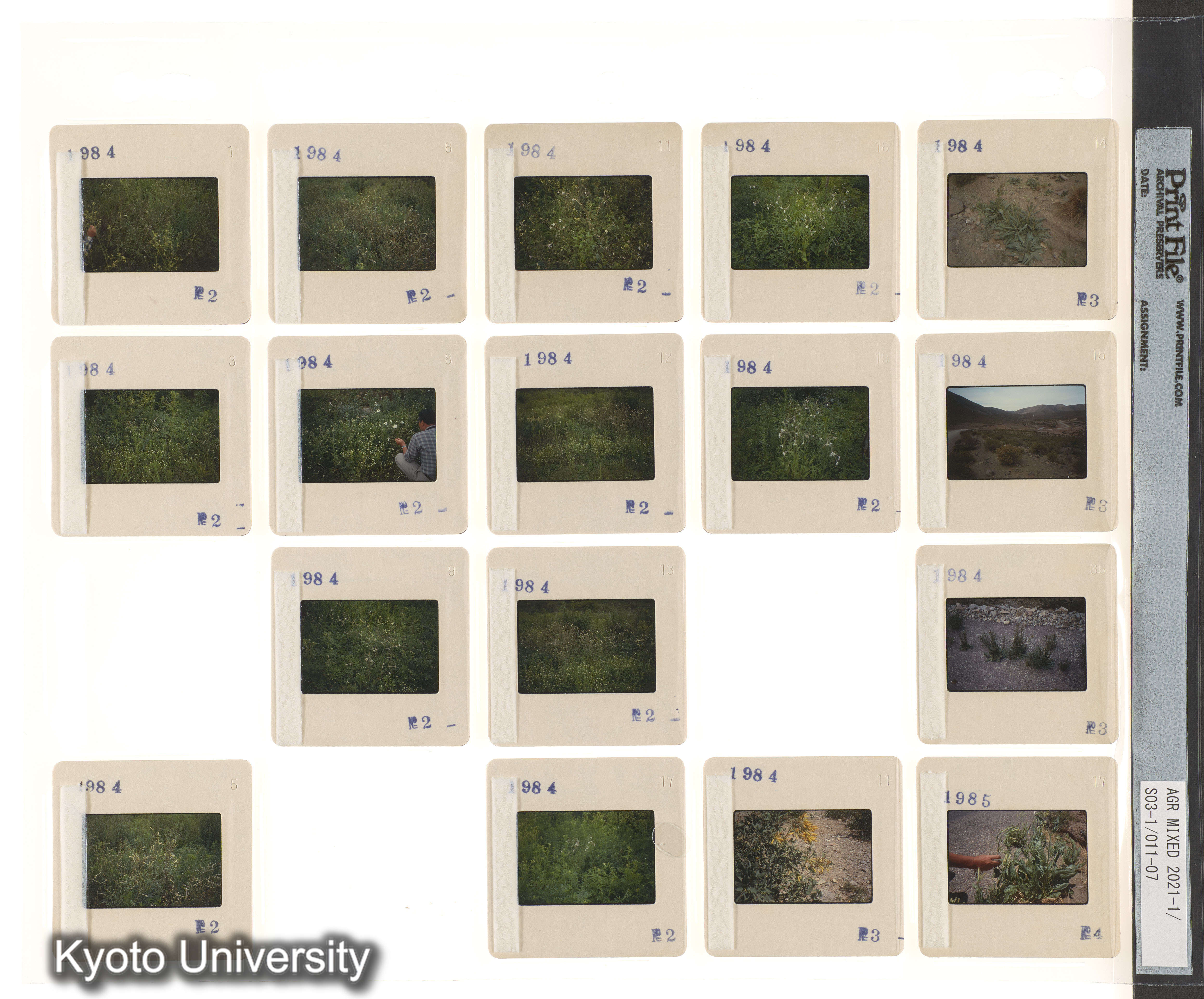 アルゼンチン；ECPA第2次 (2)