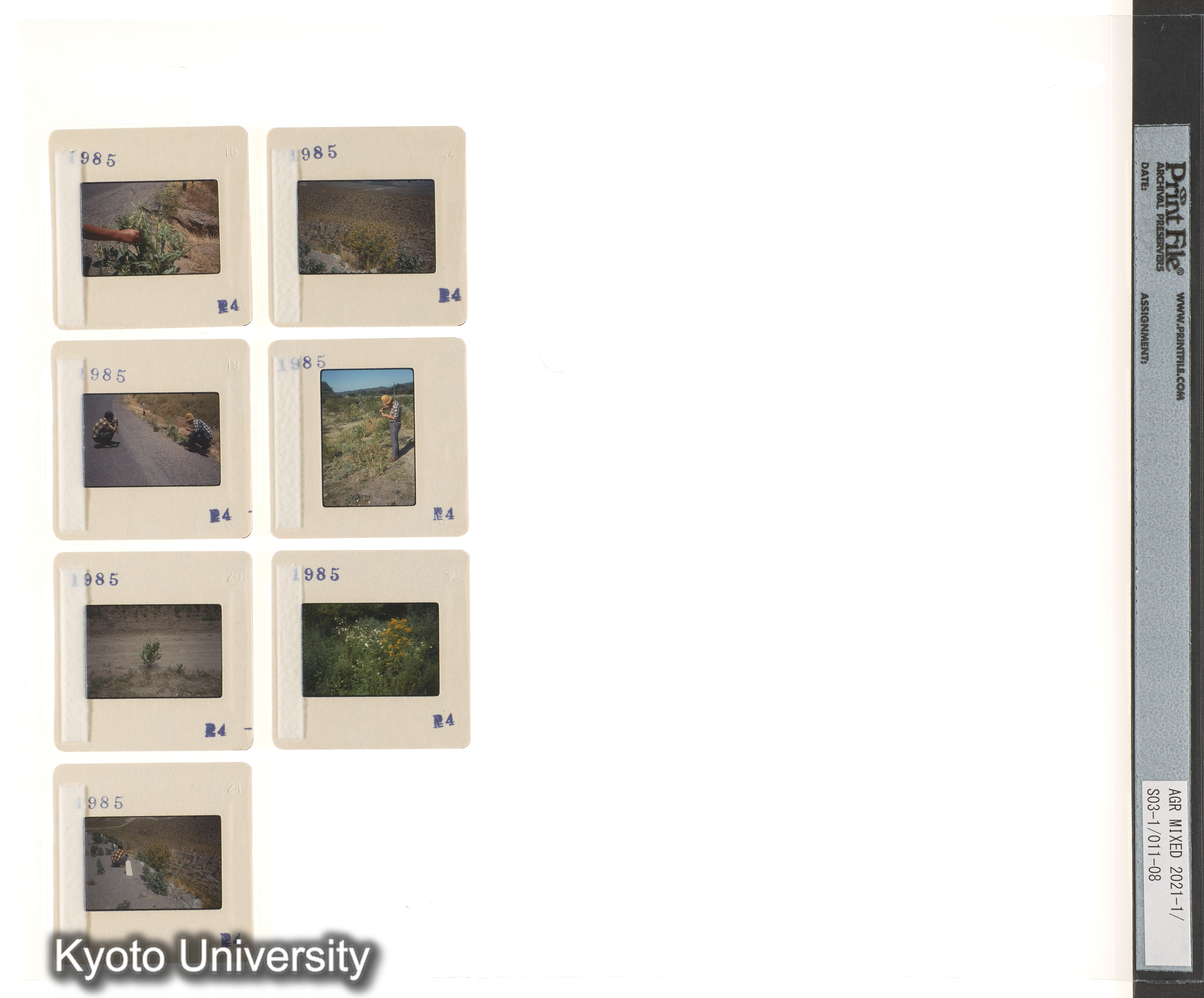 アルゼンチン；ECPA第2次 (3)