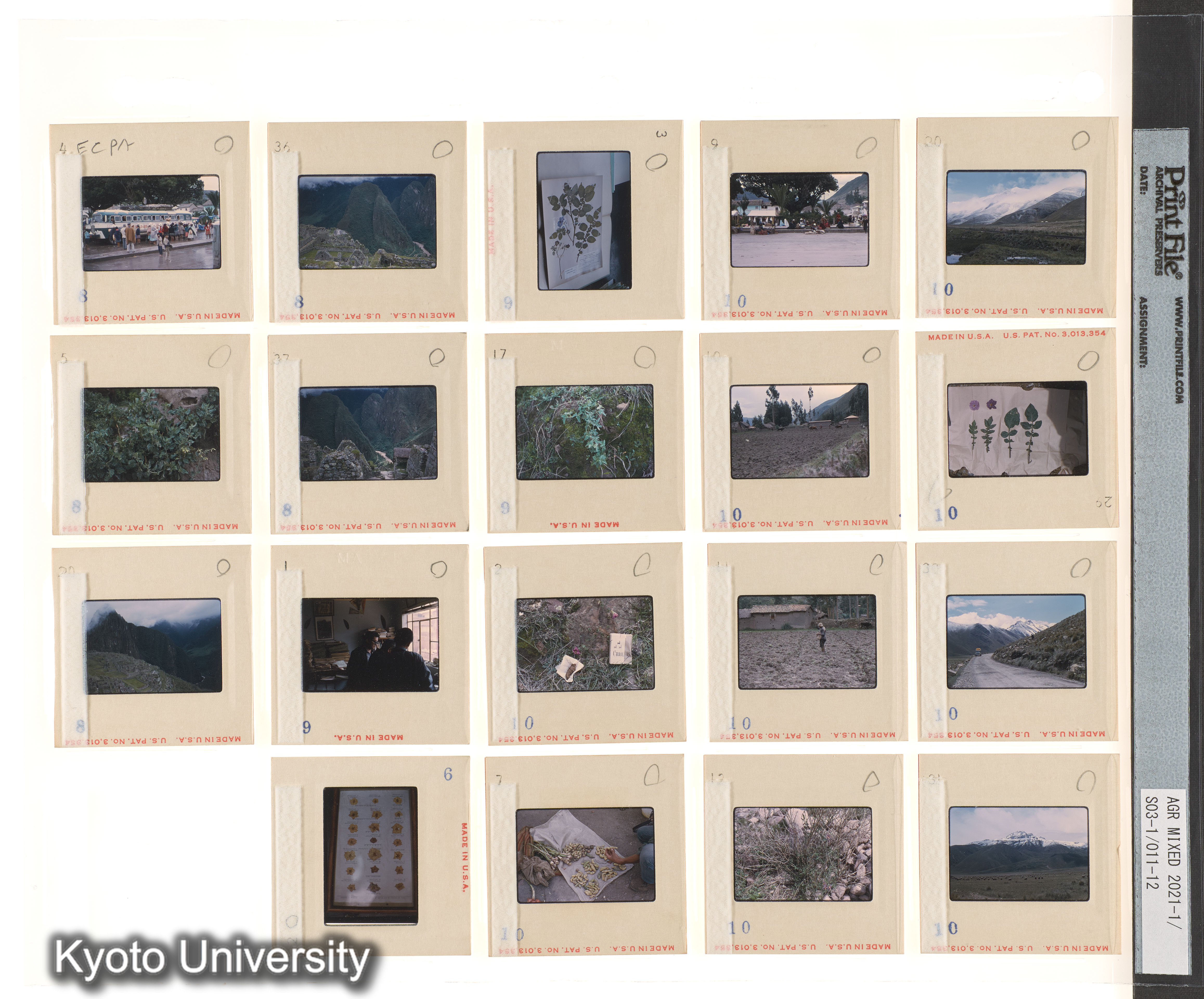 アルゼンチン；ECPA第2次 (4)