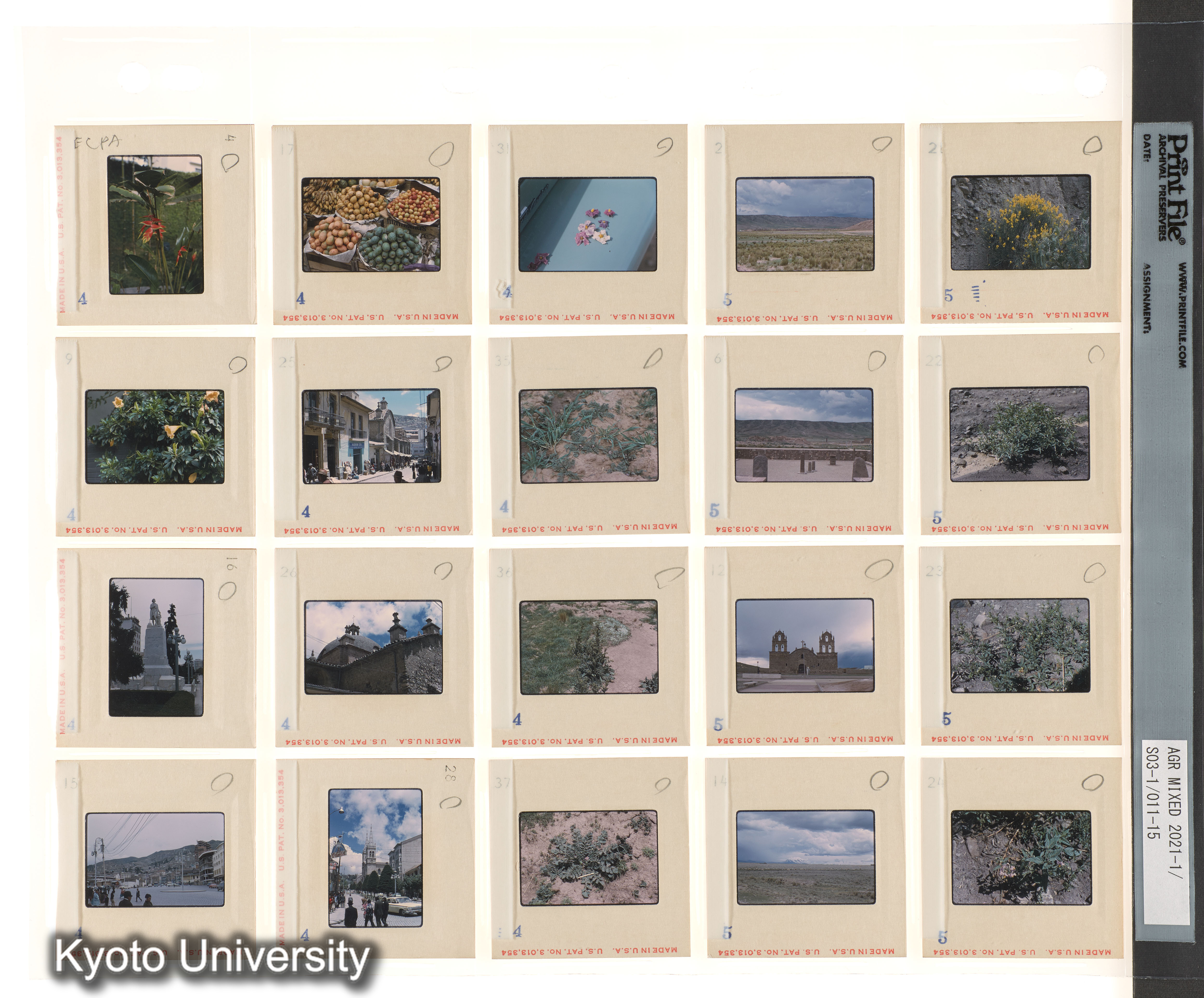 アルゼンチン；ECPA第2次 (5)