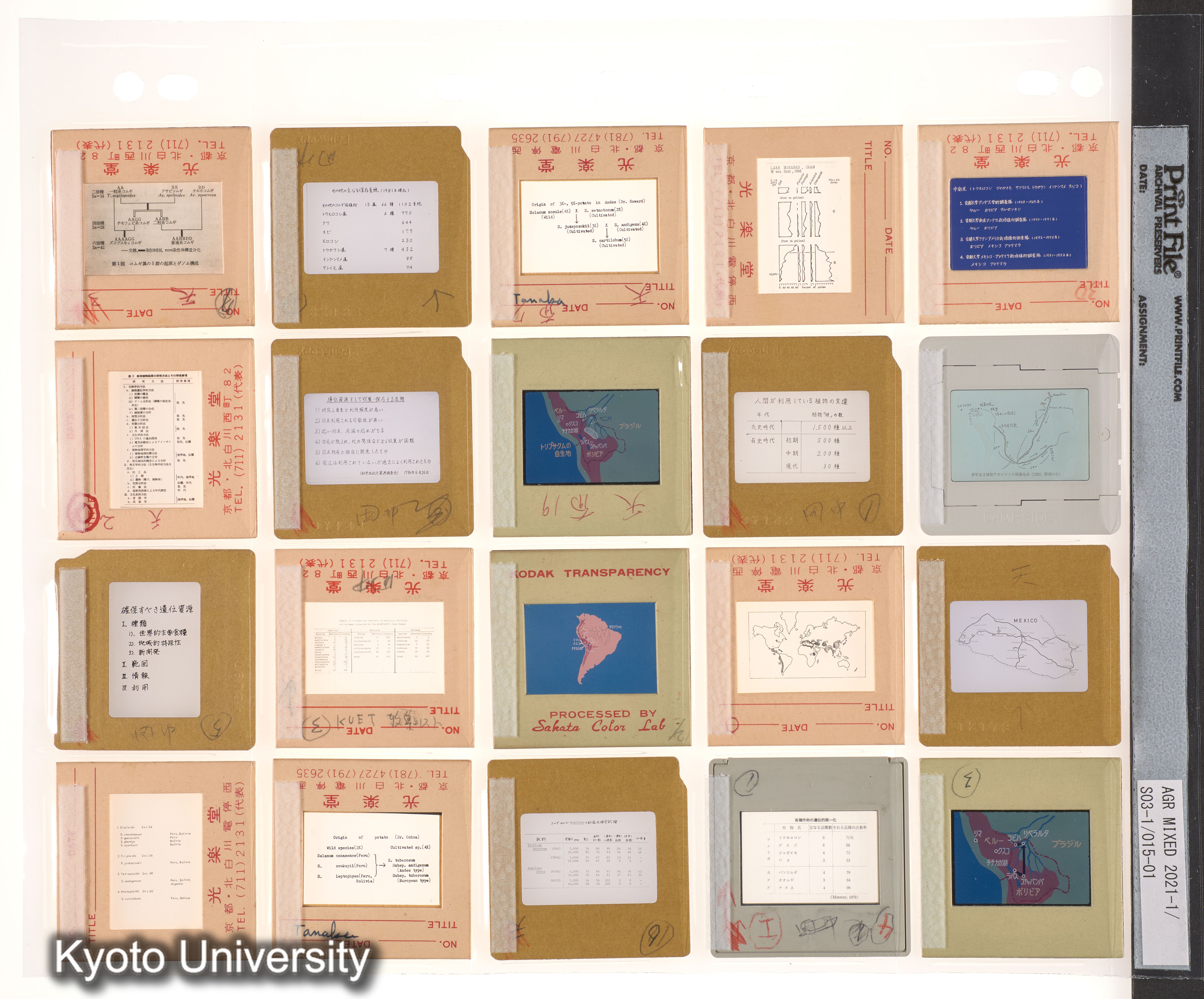 中南米；南米 (1)