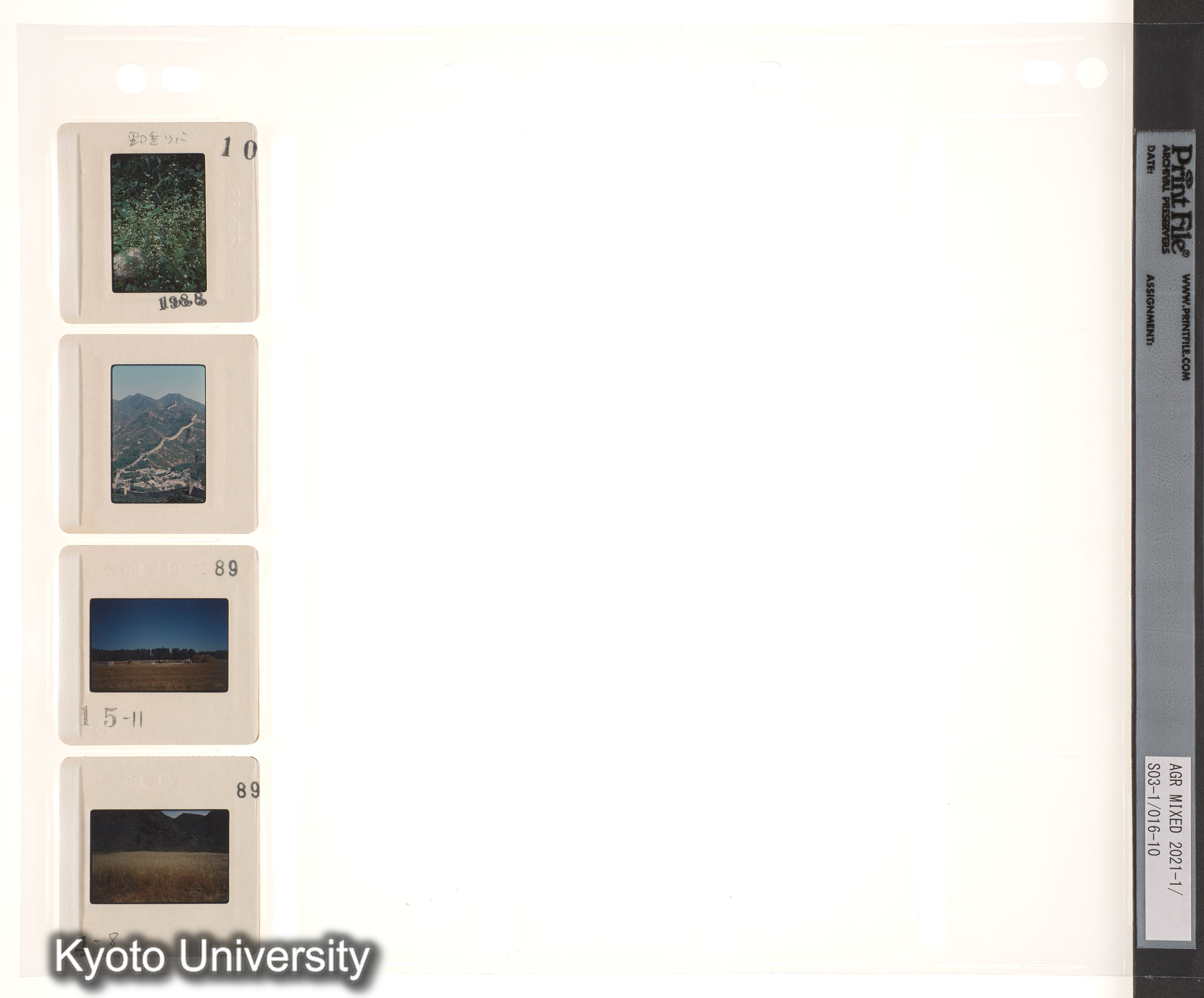 中国；中近東 (1)