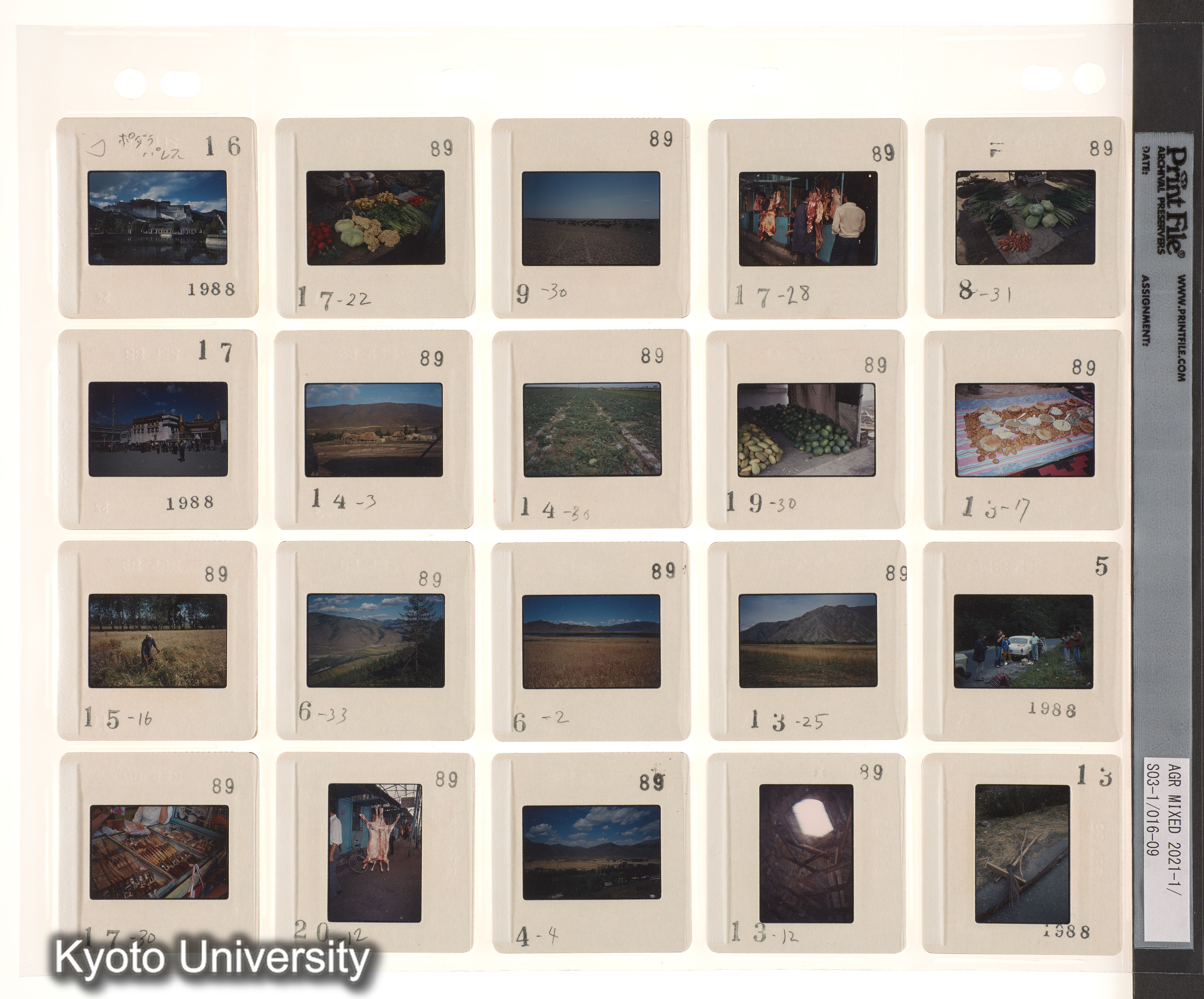 中国；中近東 (2)