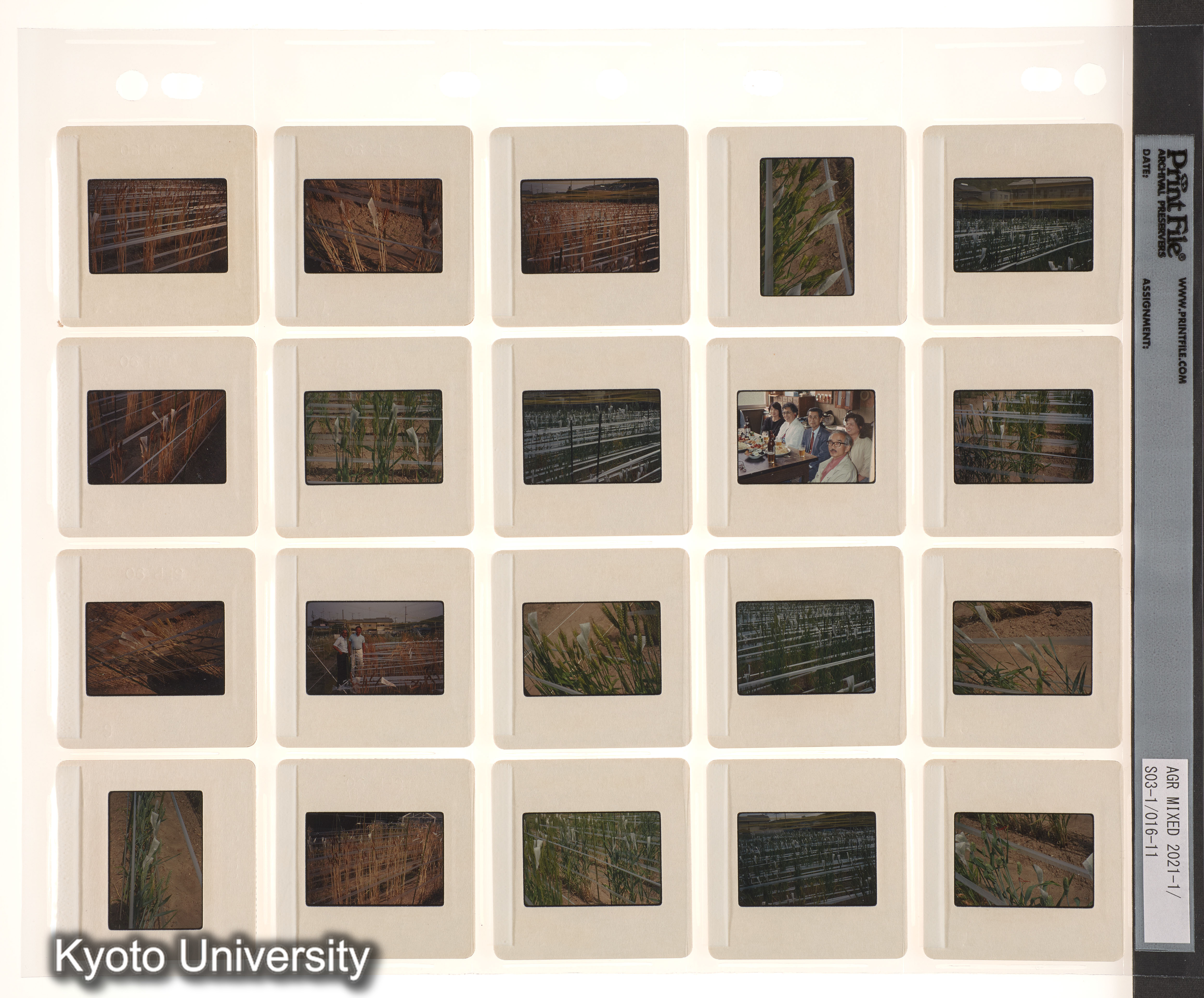 中国；中近東 (3)