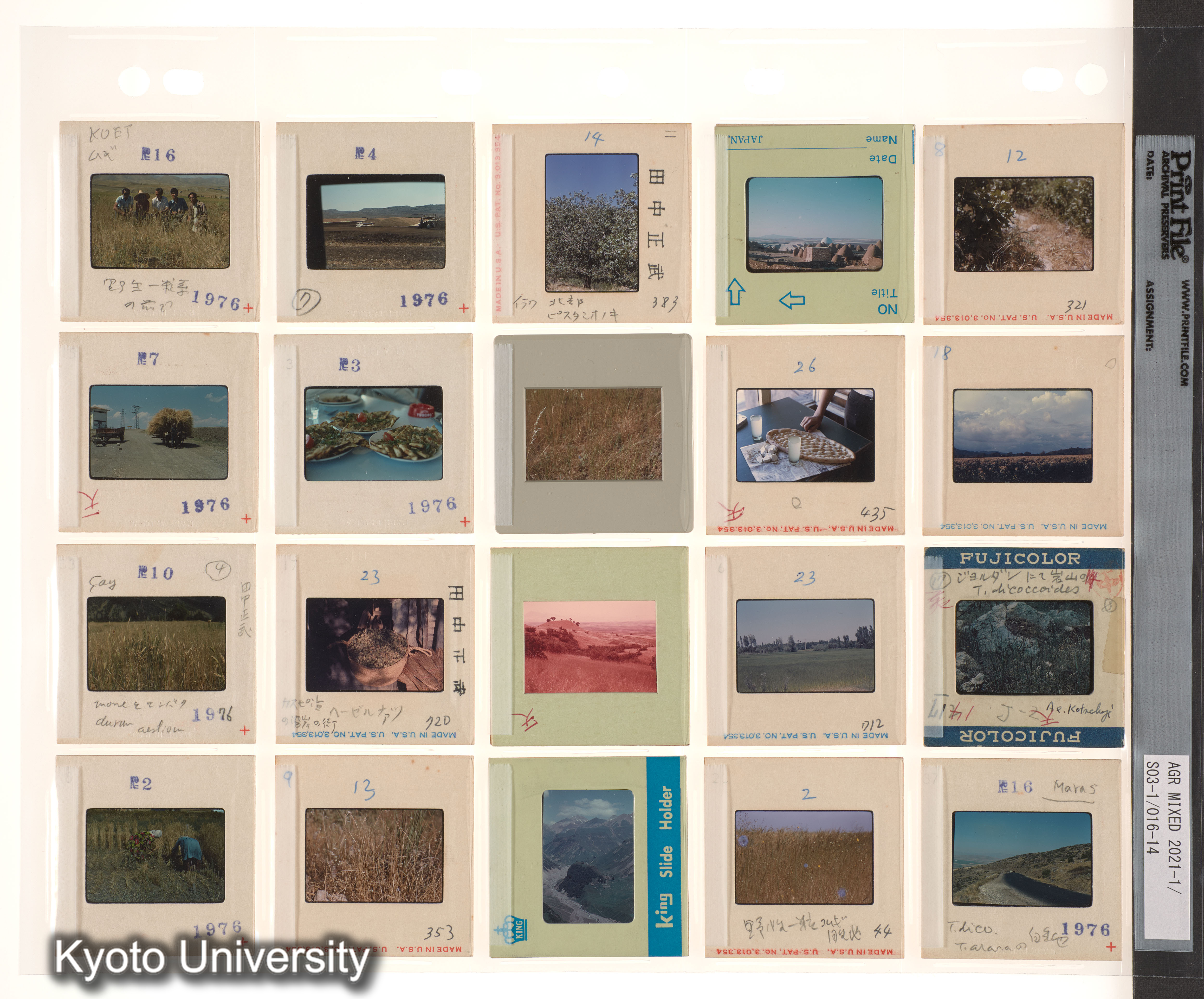 中国；中近東 (4)