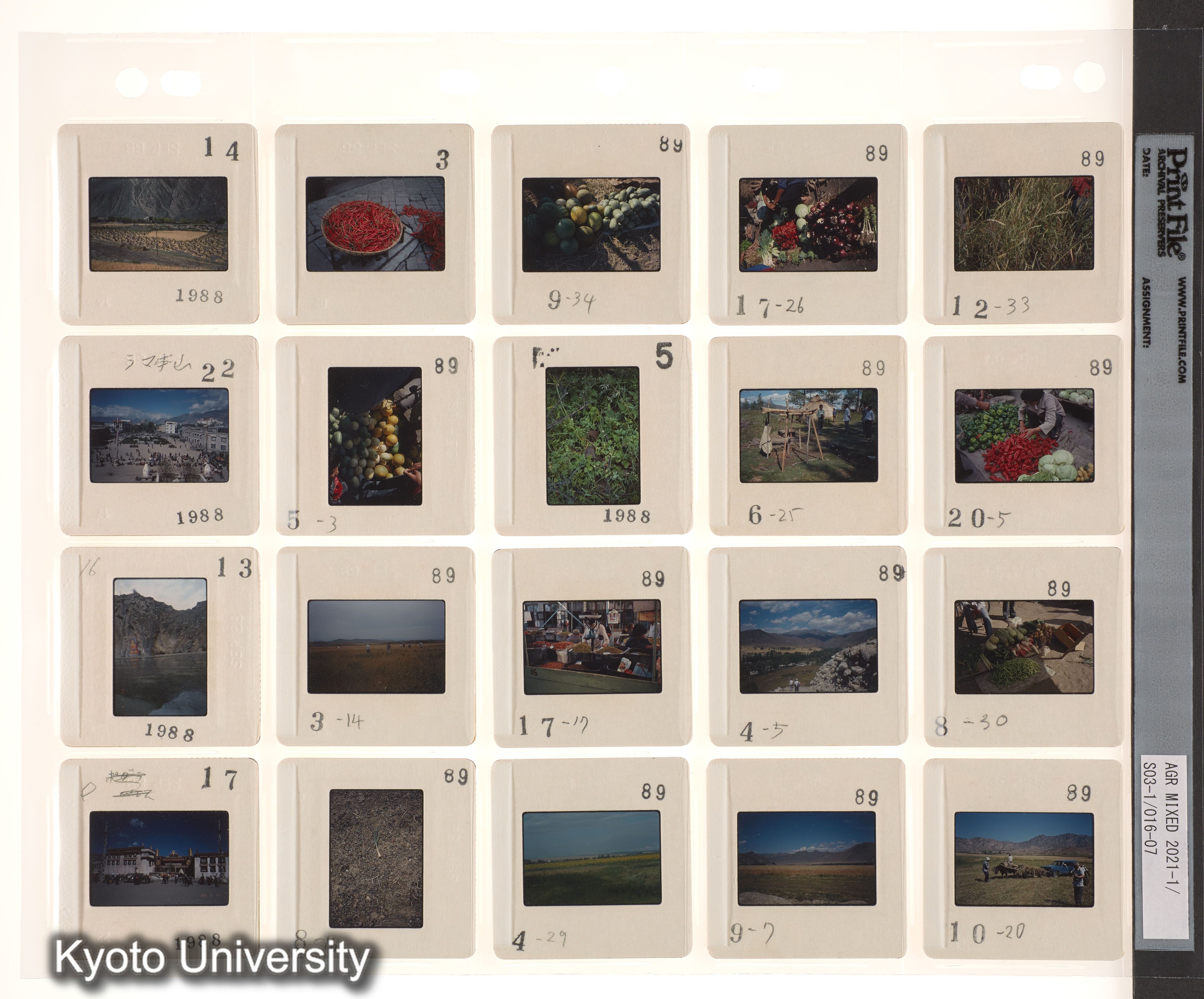 中国；中近東 (5)