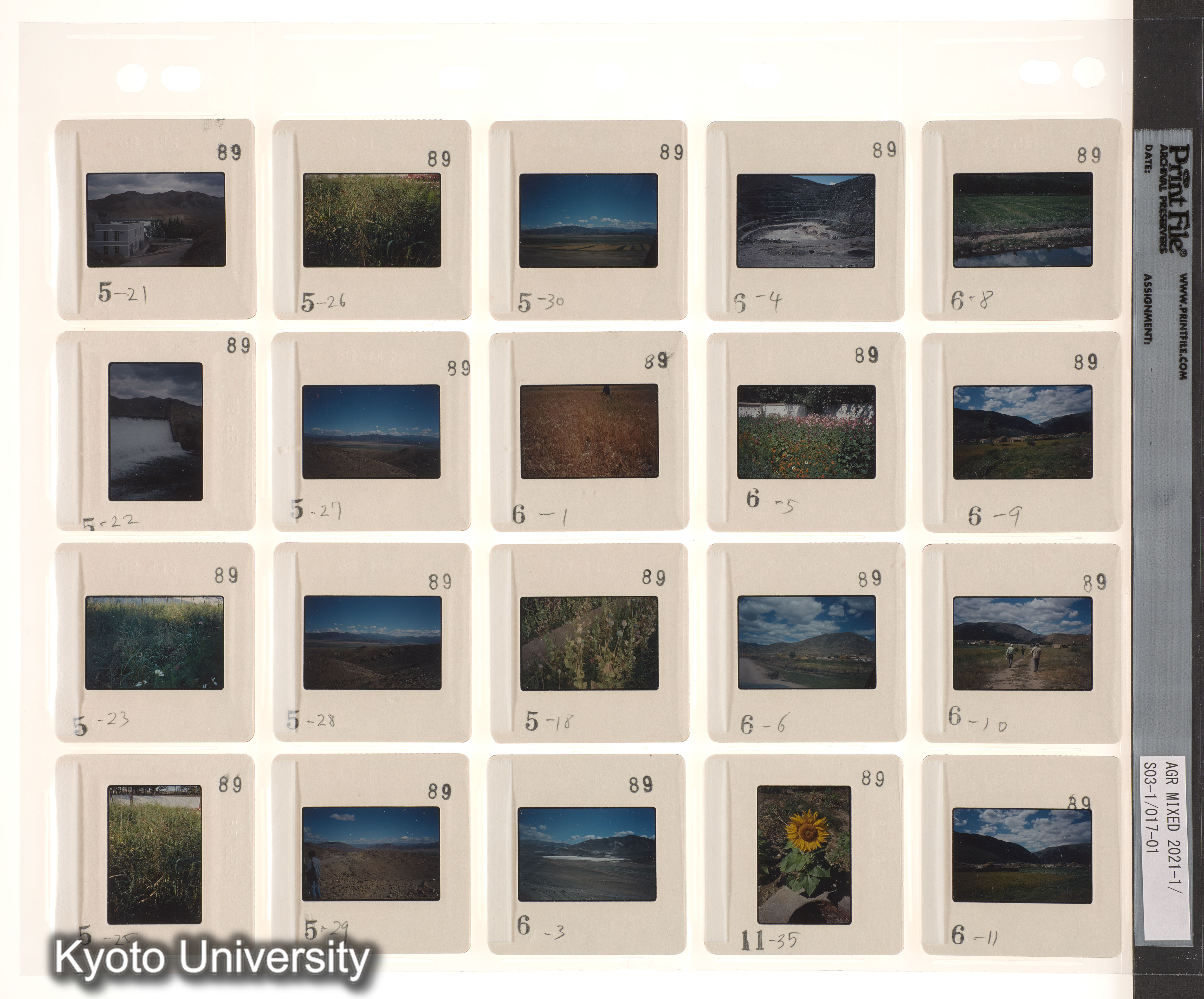 ウイグル No.1；ウイグル No.2 (1)