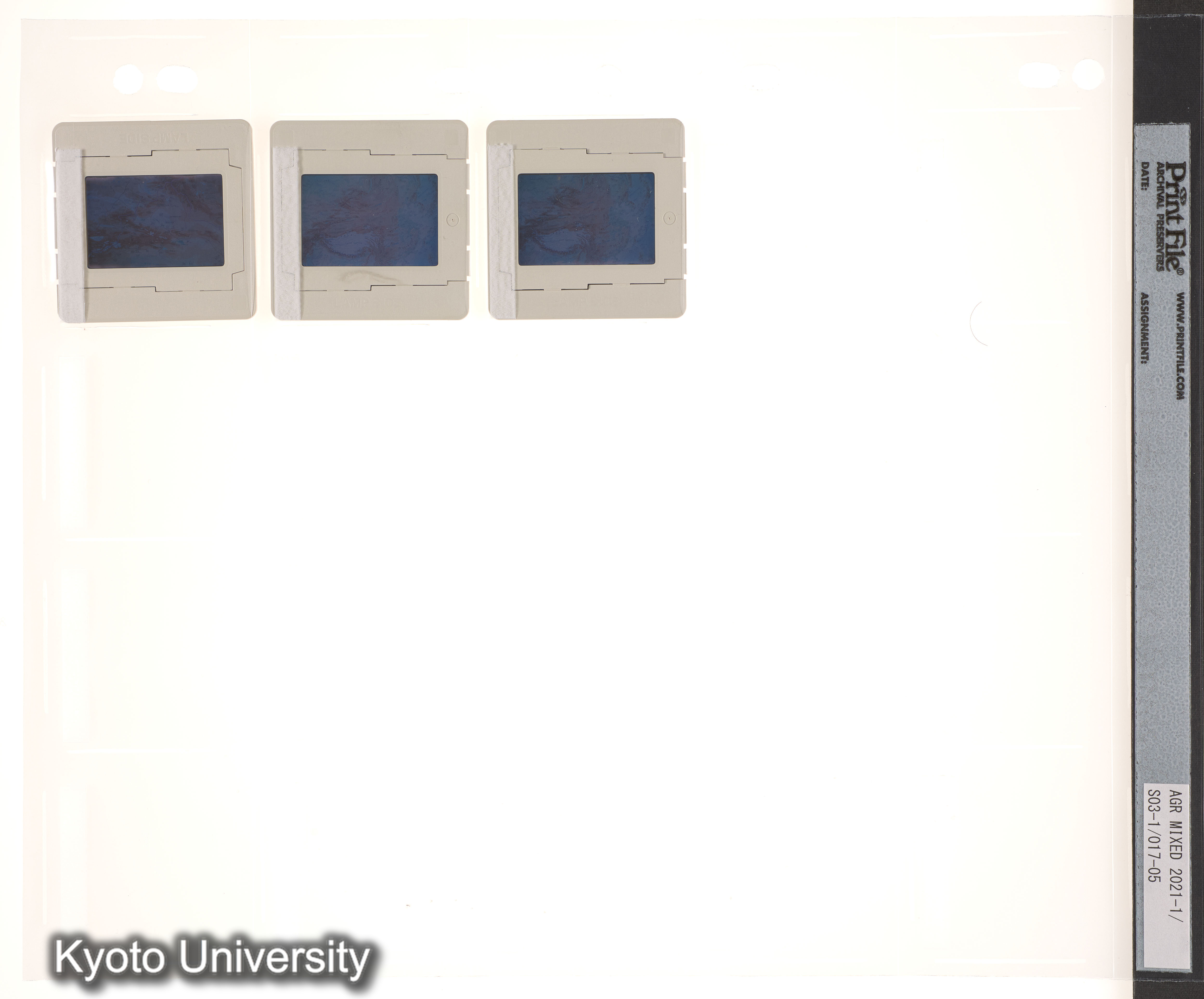 ウイグル No.1；ウイグル No.2 (2)