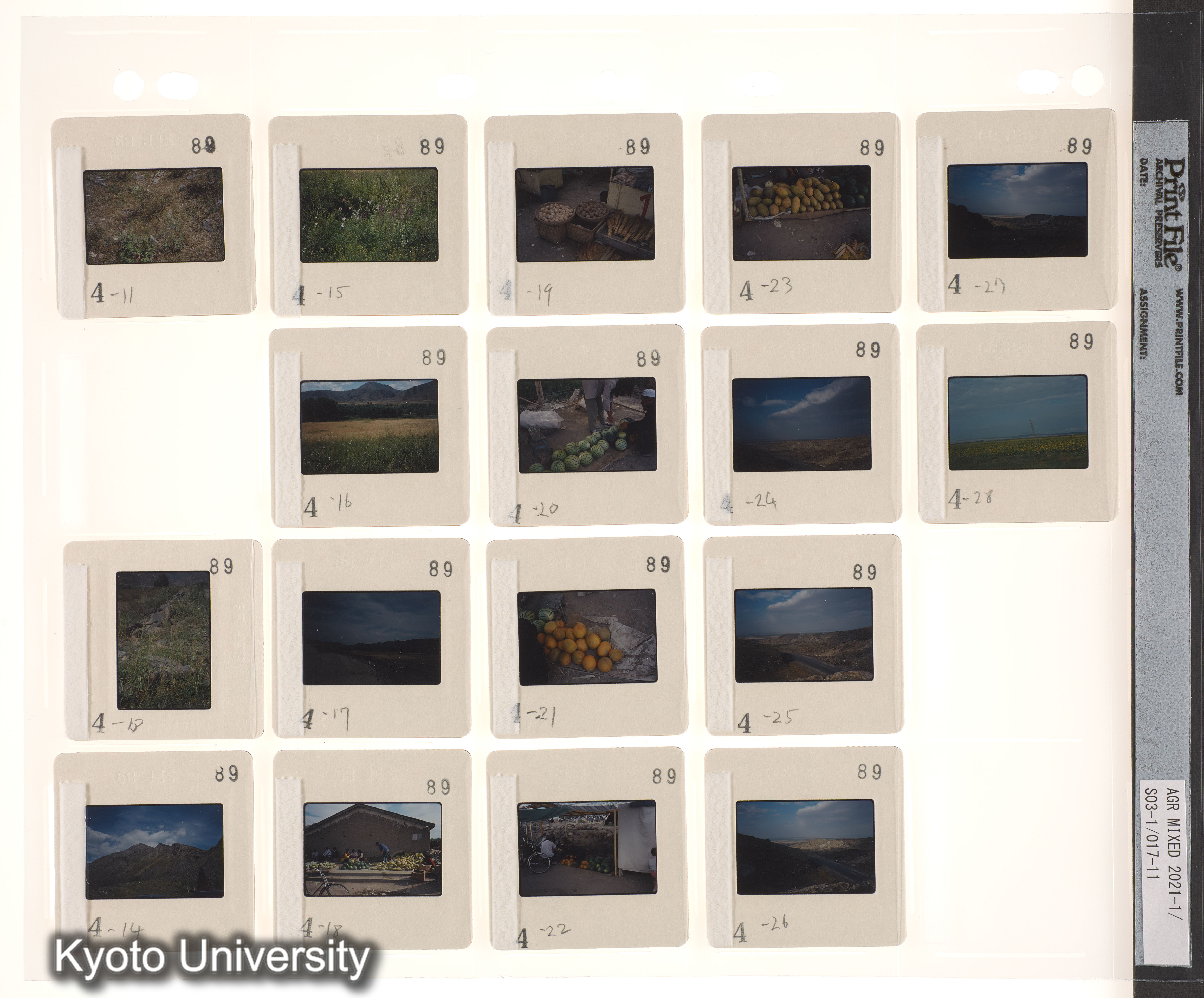 ウイグル No.1；ウイグル No.2 (4)