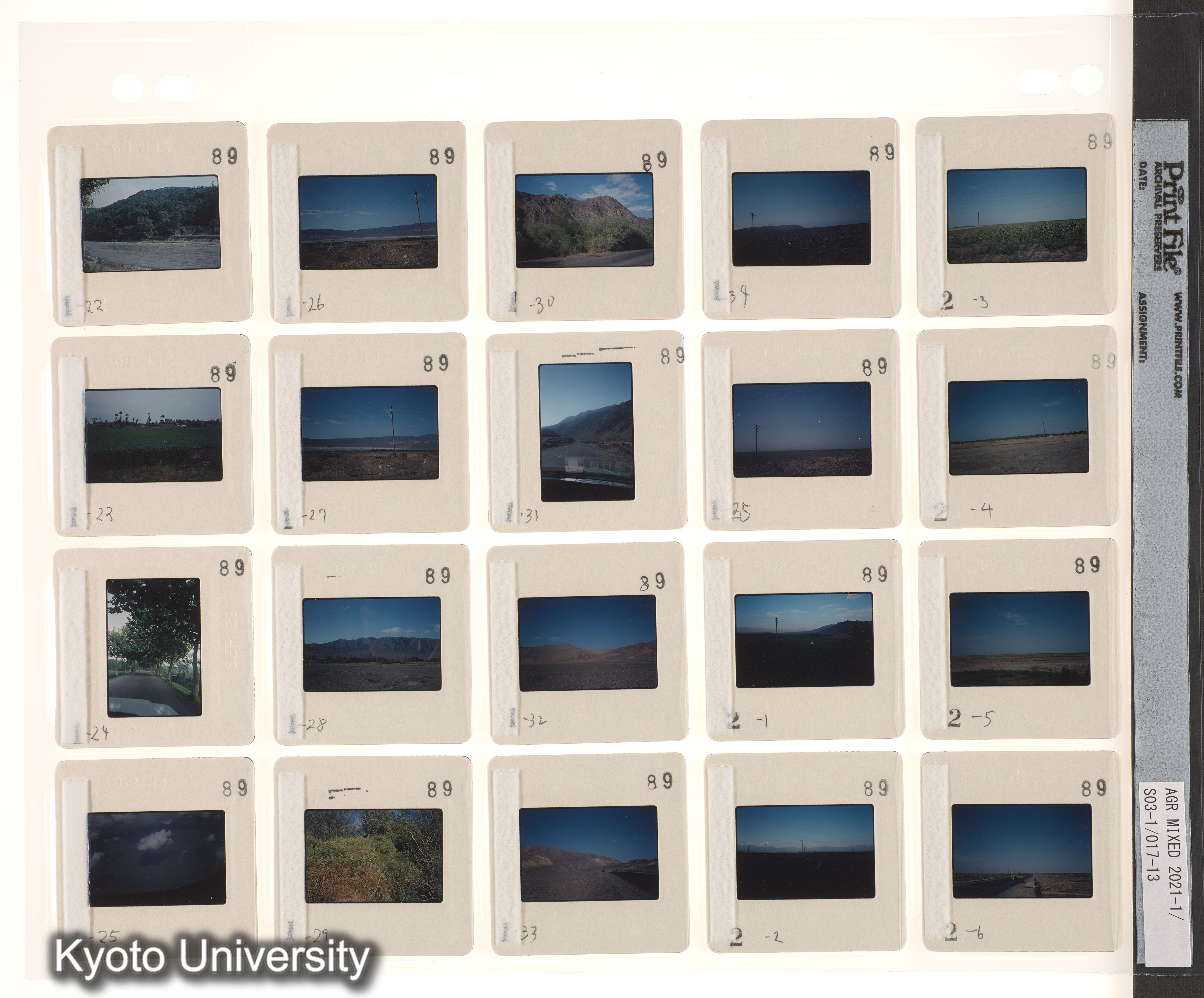 ウイグル No.1；ウイグル No.2 (5)