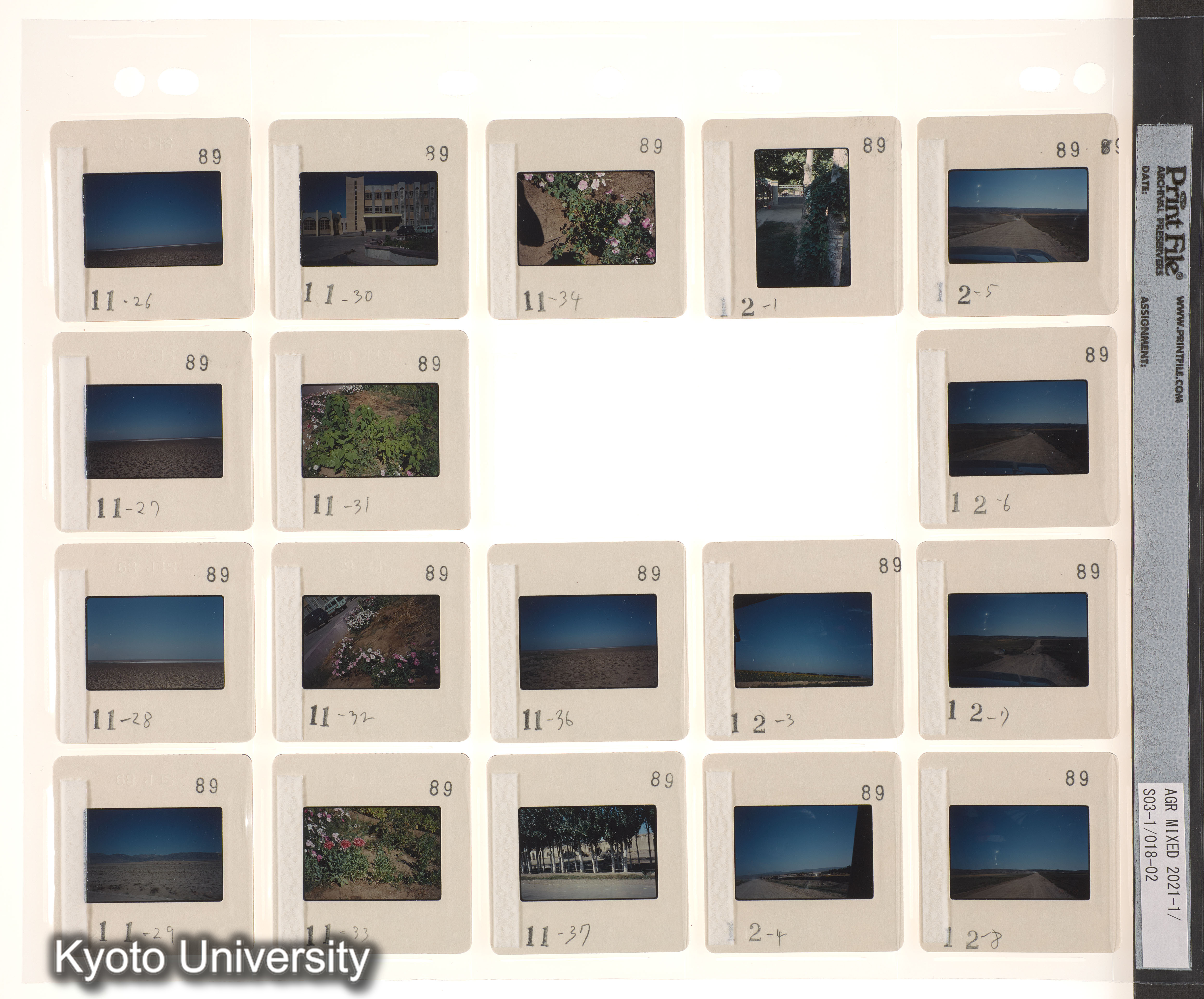 ウイグル No.2；ウイグル No.3 (1)