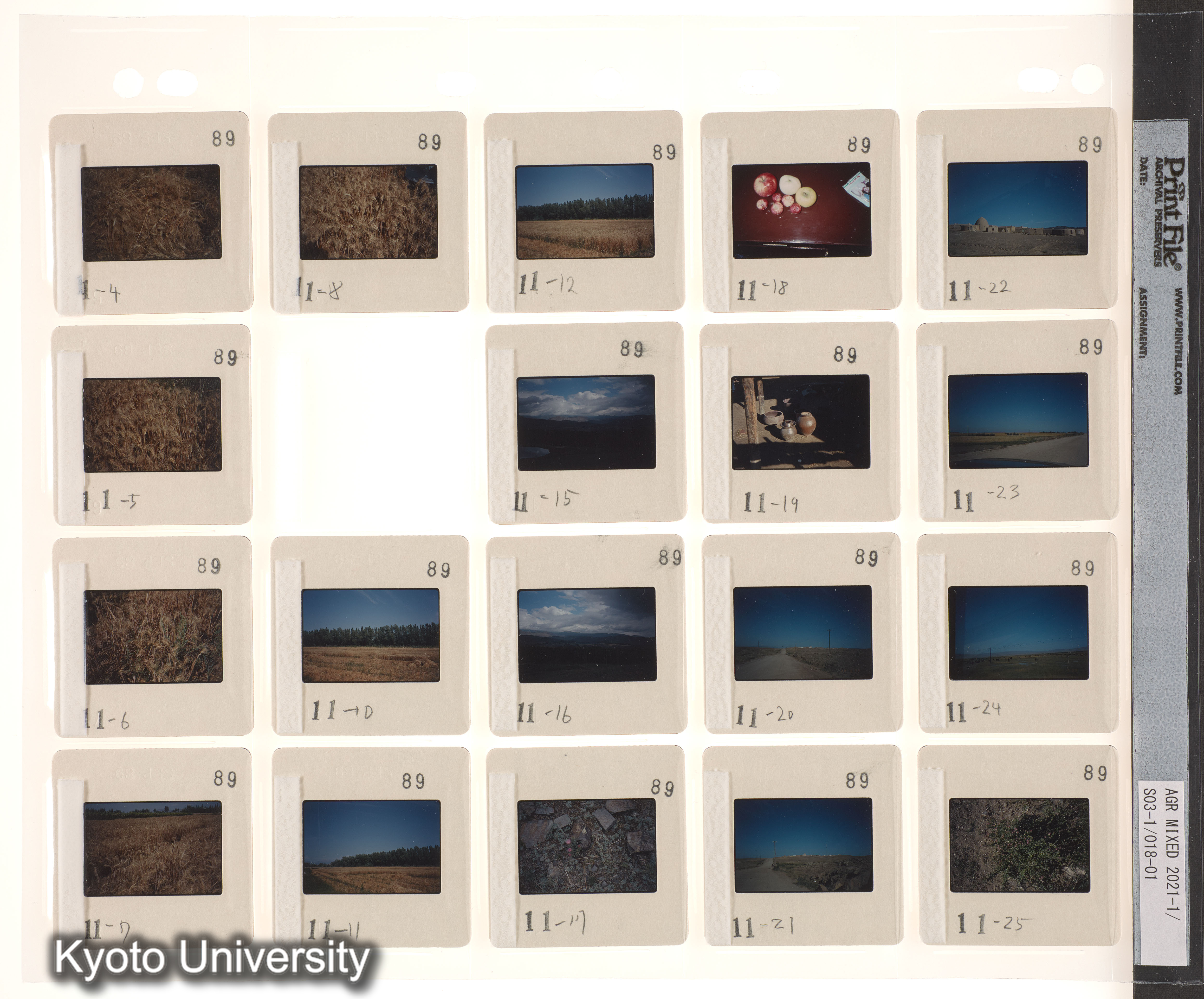 ウイグル No.2；ウイグル No.3 (2)