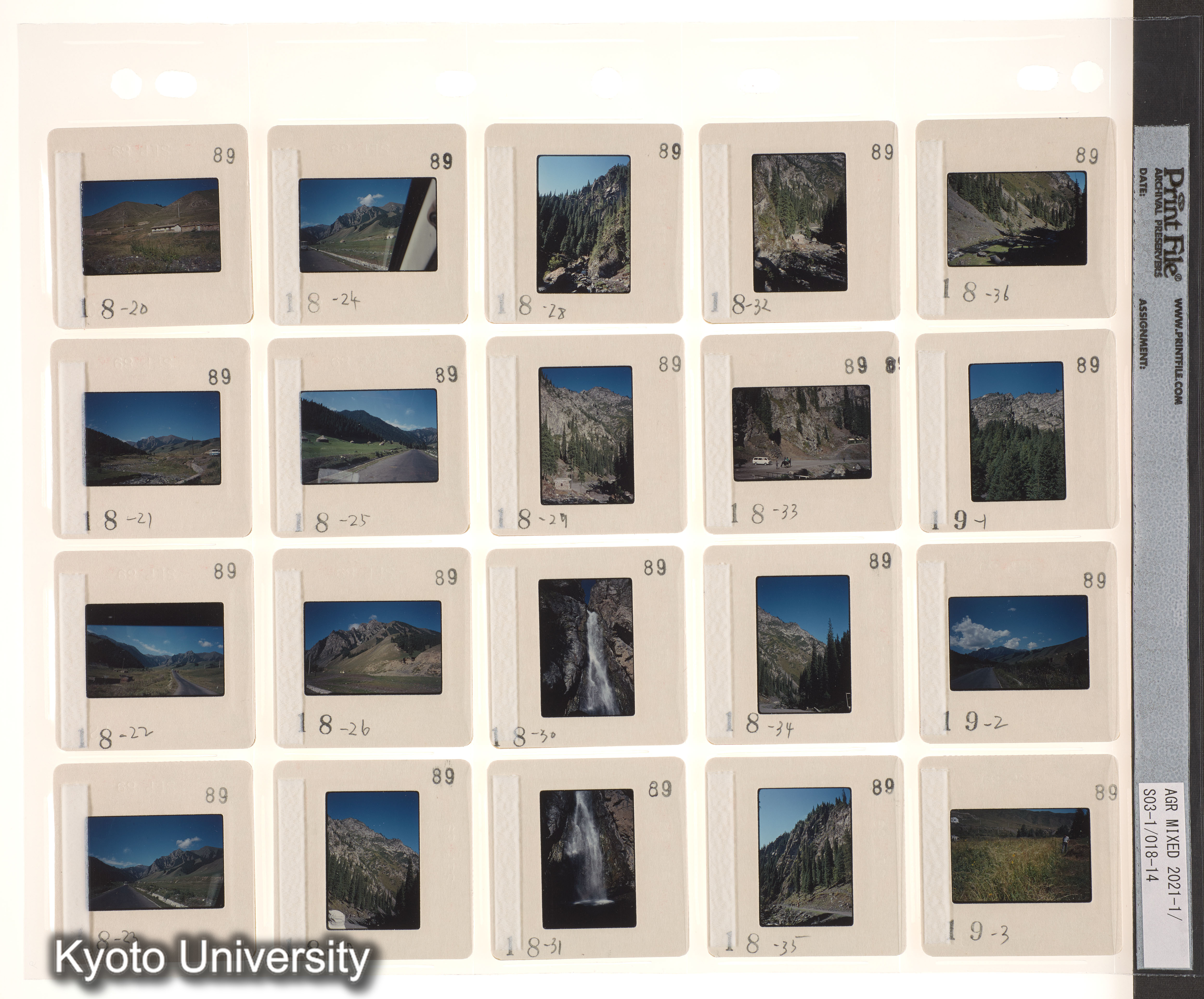 ウイグル No.2；ウイグル No.3 (6)