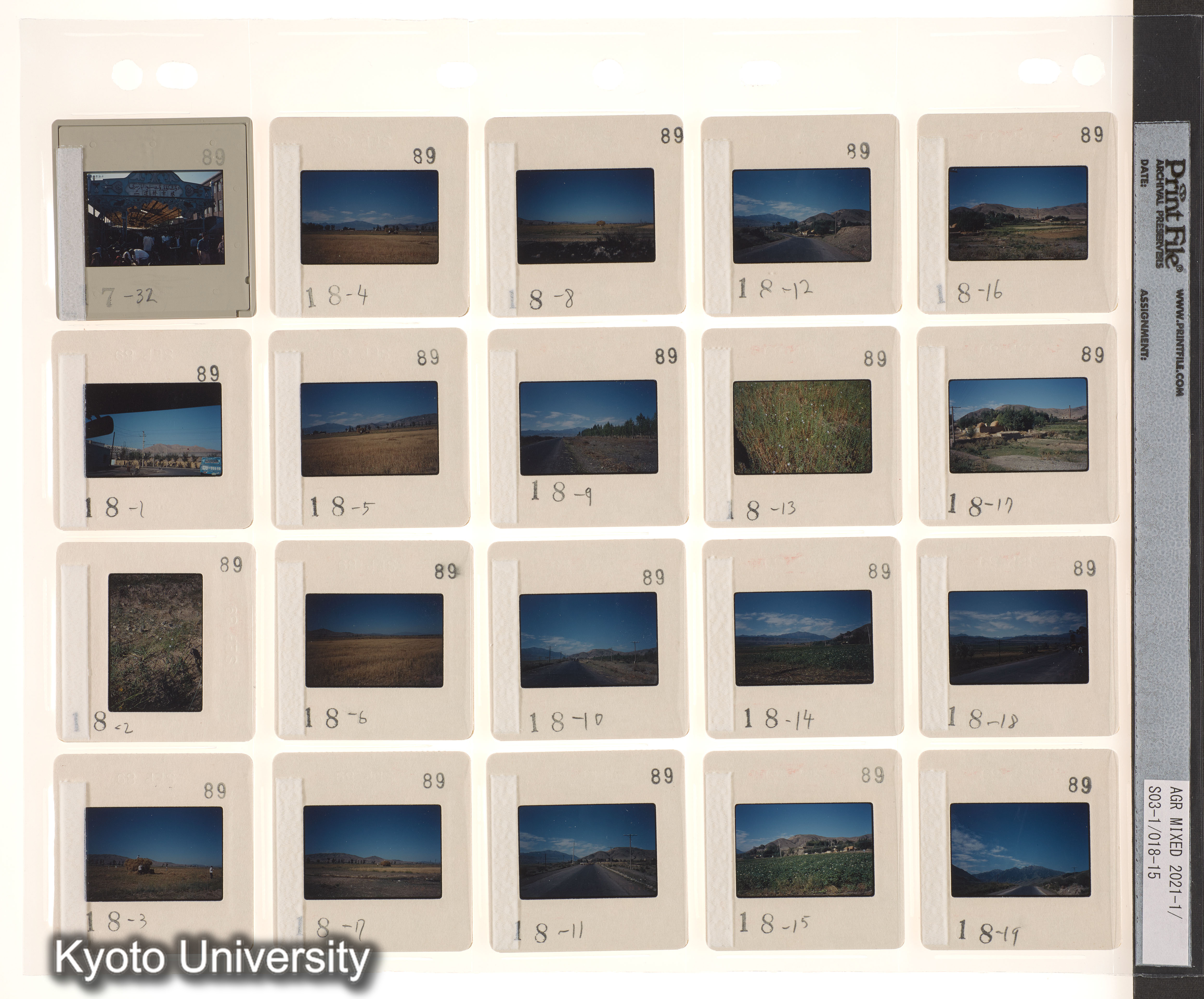 ウイグル No.2；ウイグル No.3 (7)