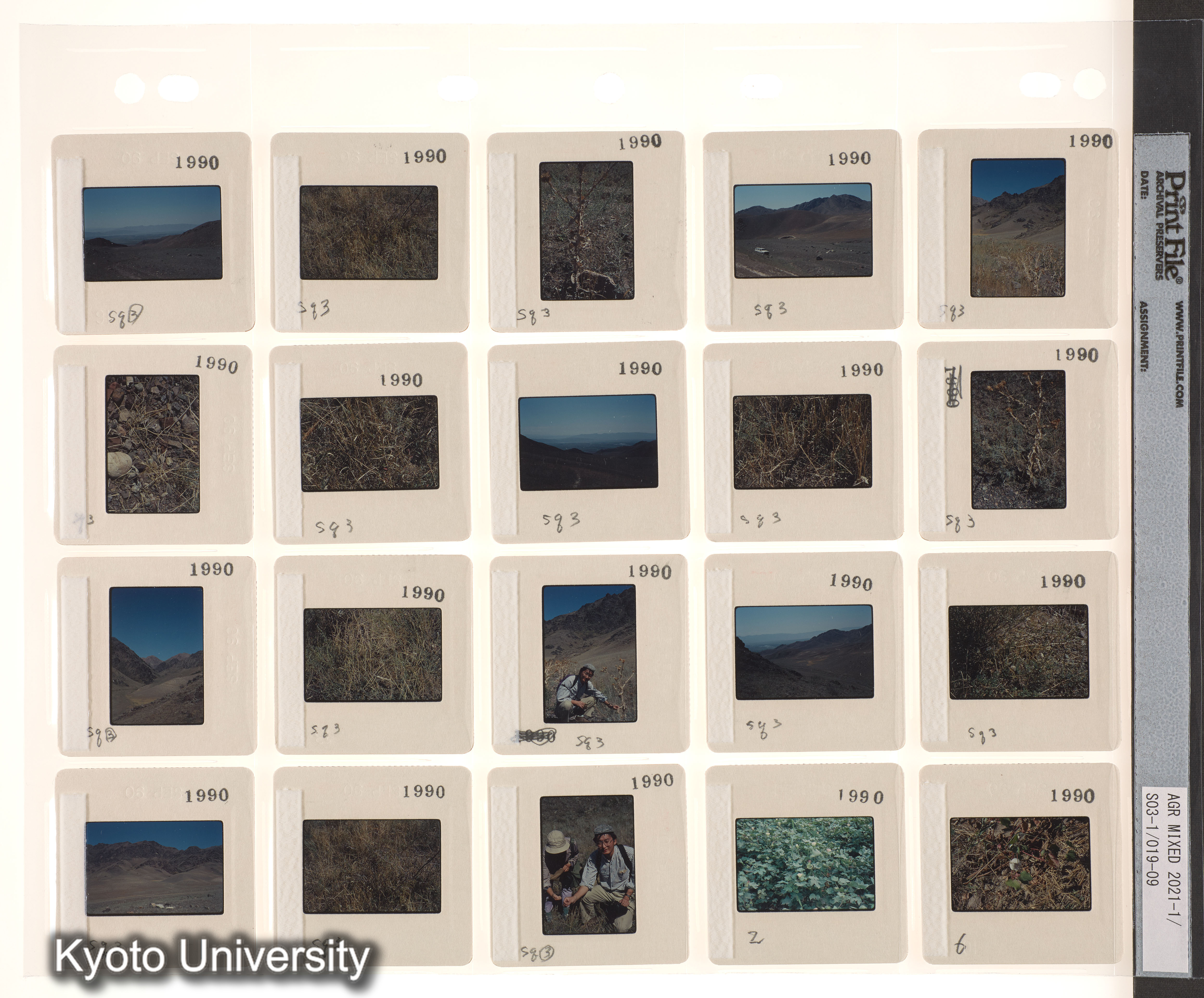 ウイグル No.3；1990 新疆ウイグル イリ地区 (5)