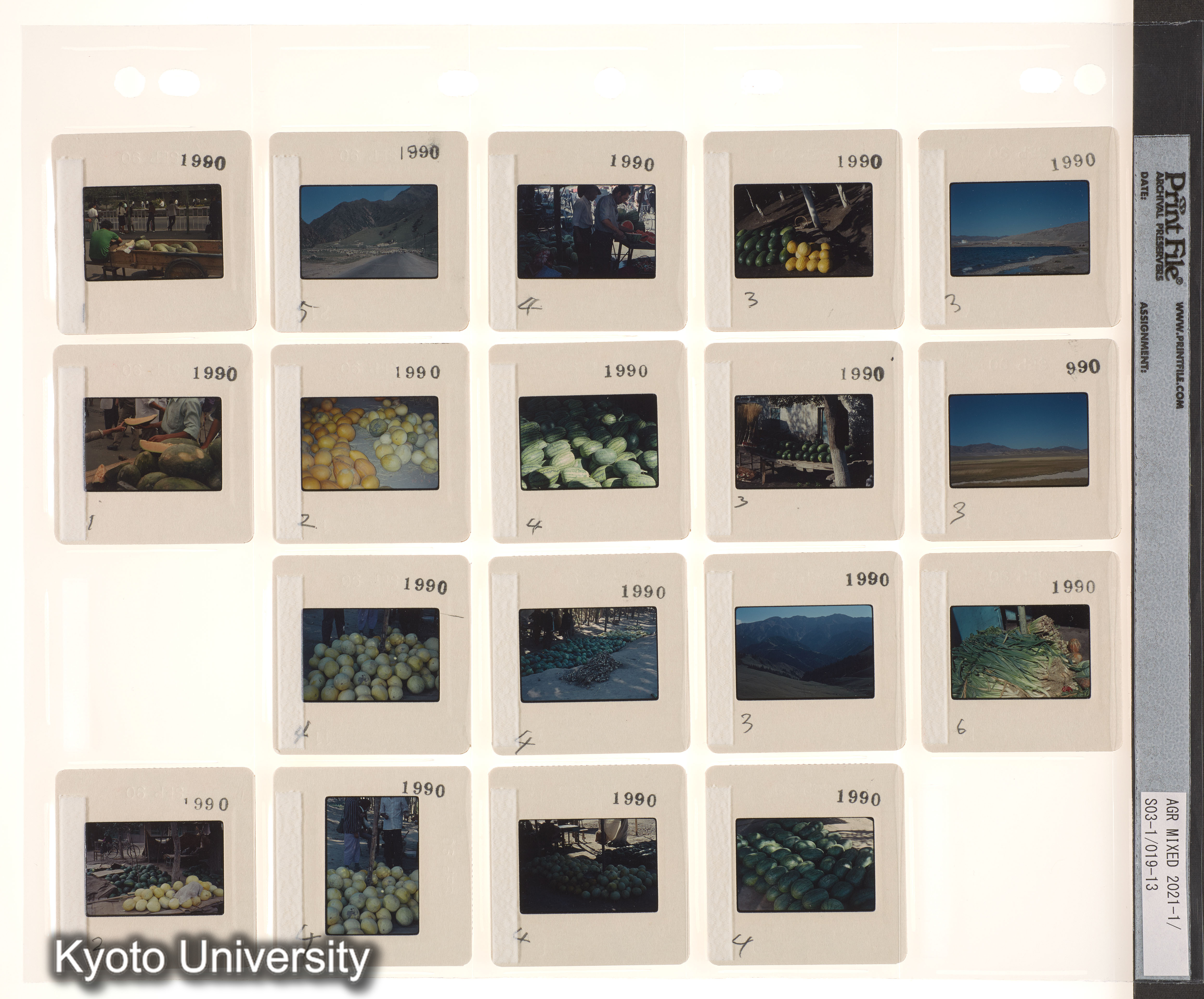 ウイグル No.3；1990 新疆ウイグル イリ地区 (6)