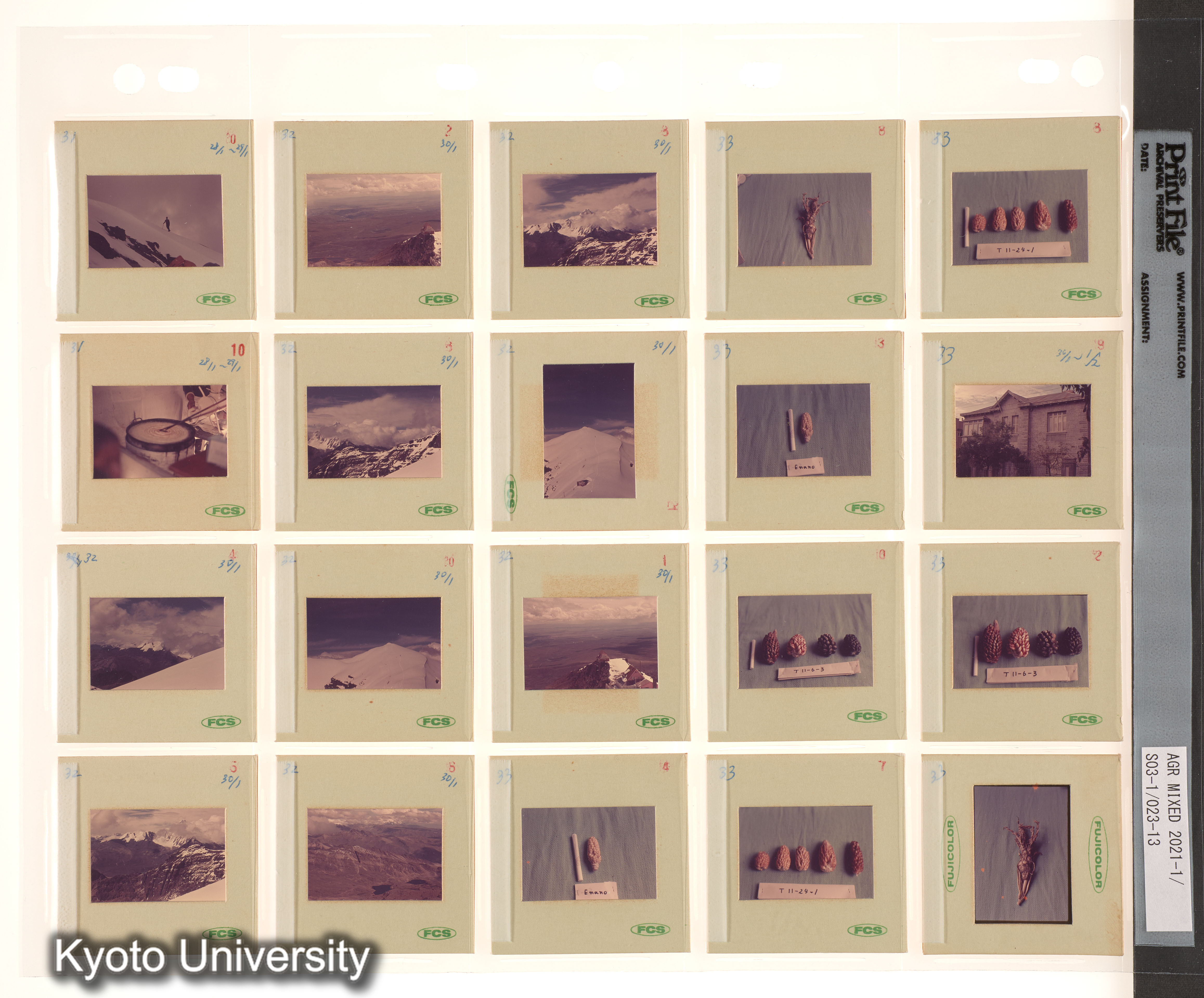 ECAUK予備2；ECAUK予備3 (6)