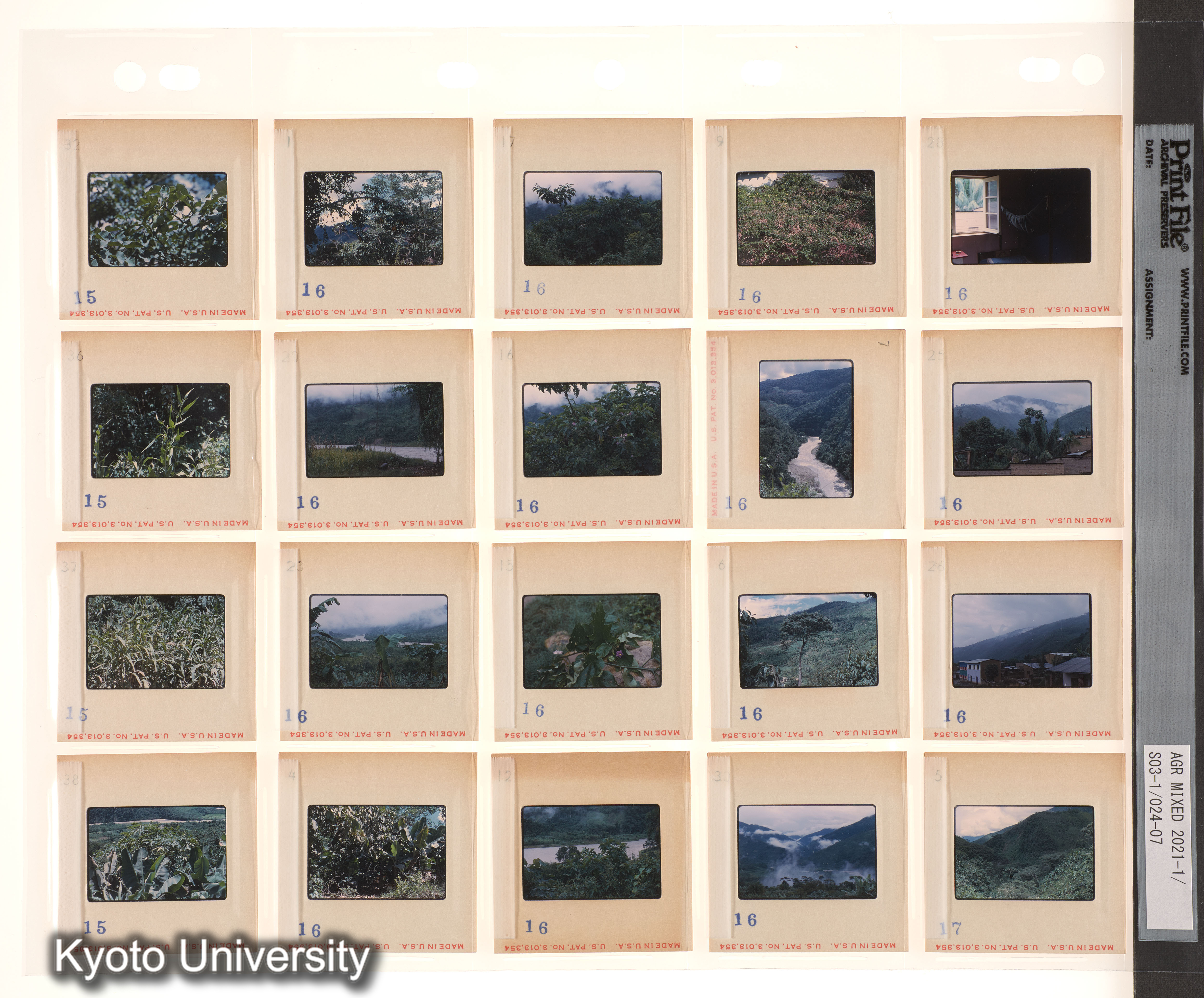 予備ECPA1；予備ECPA2 (3)