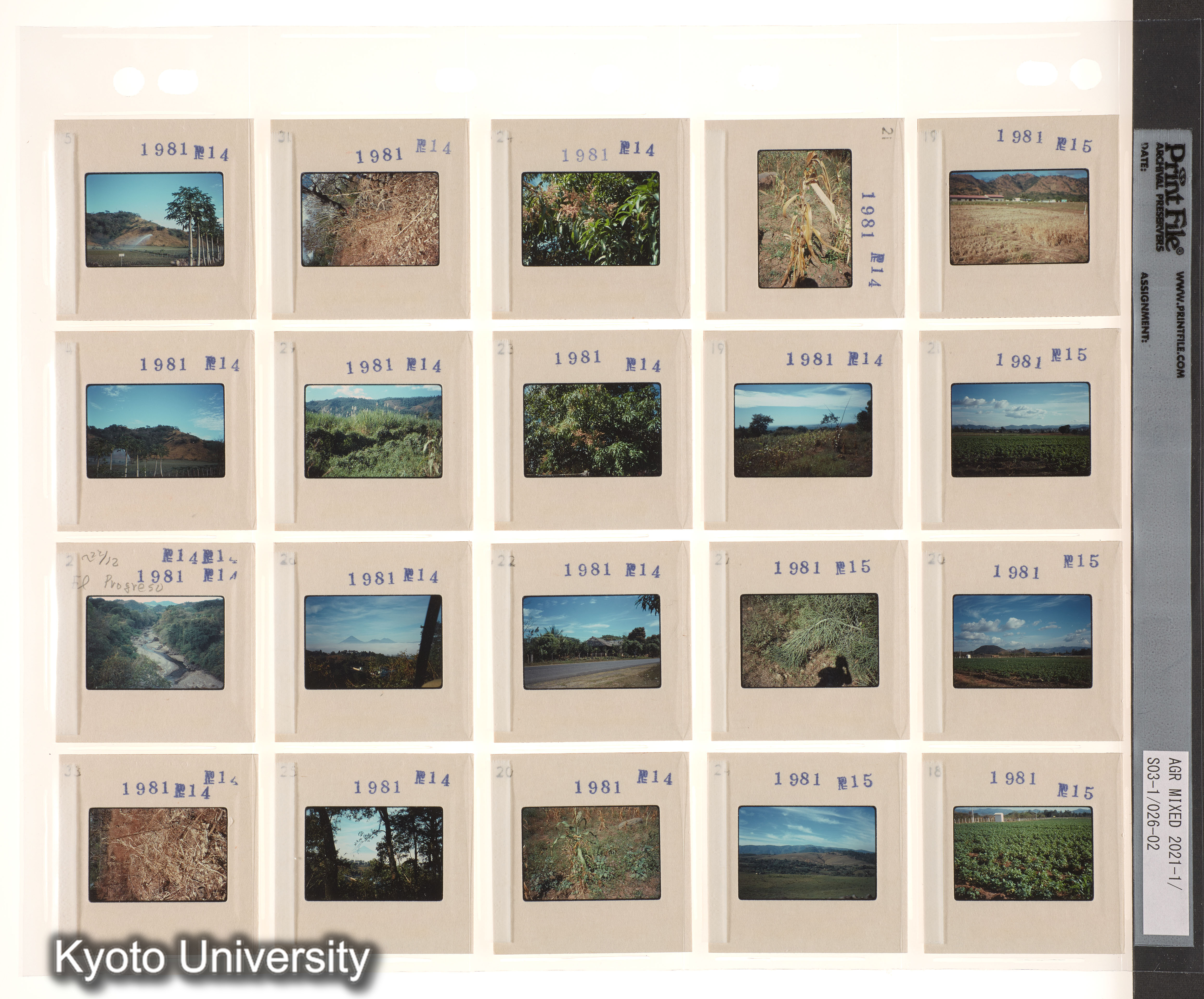 EMG2予備；EMG3予備 (1)