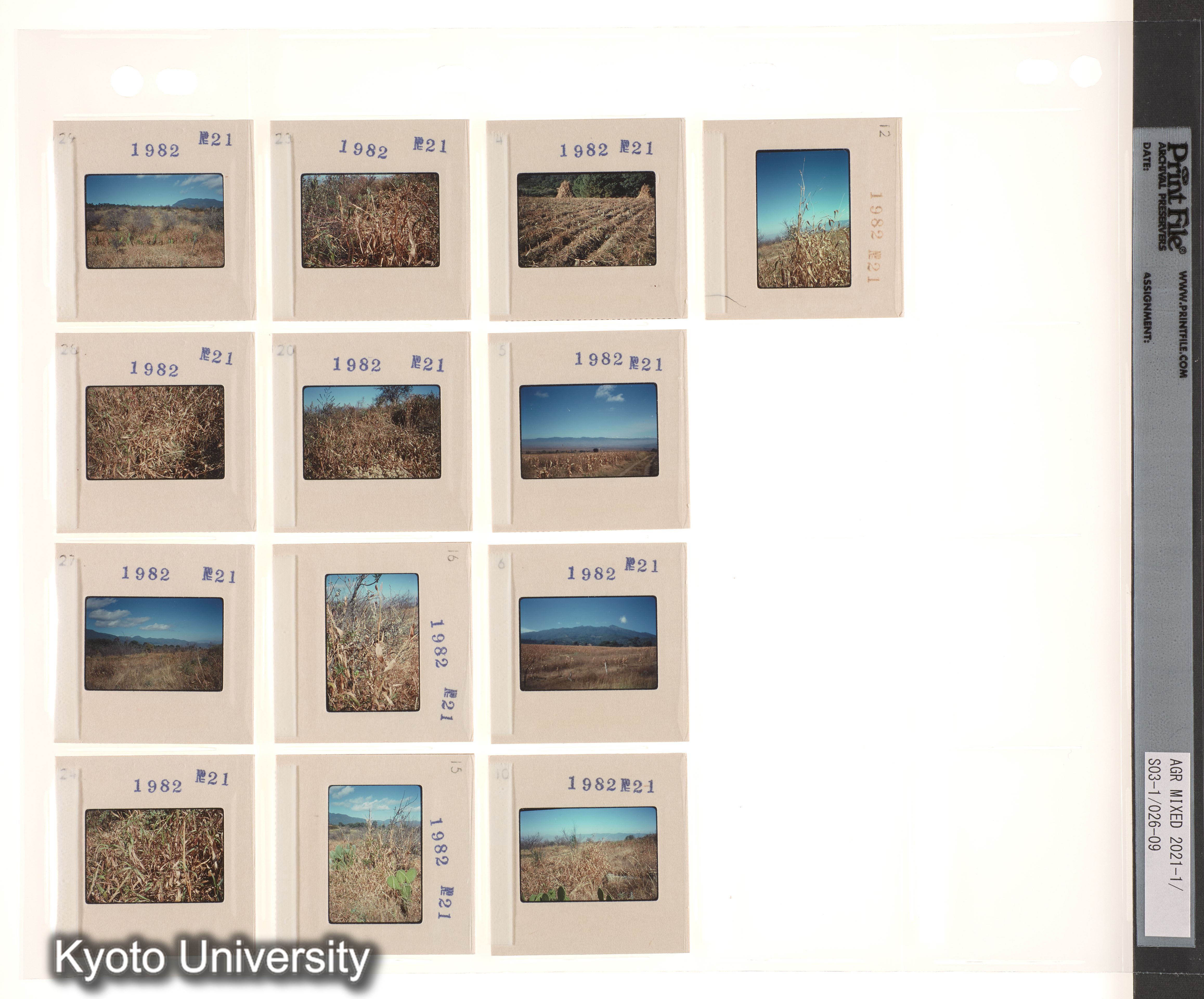 EMG2予備；EMG3予備 (5)