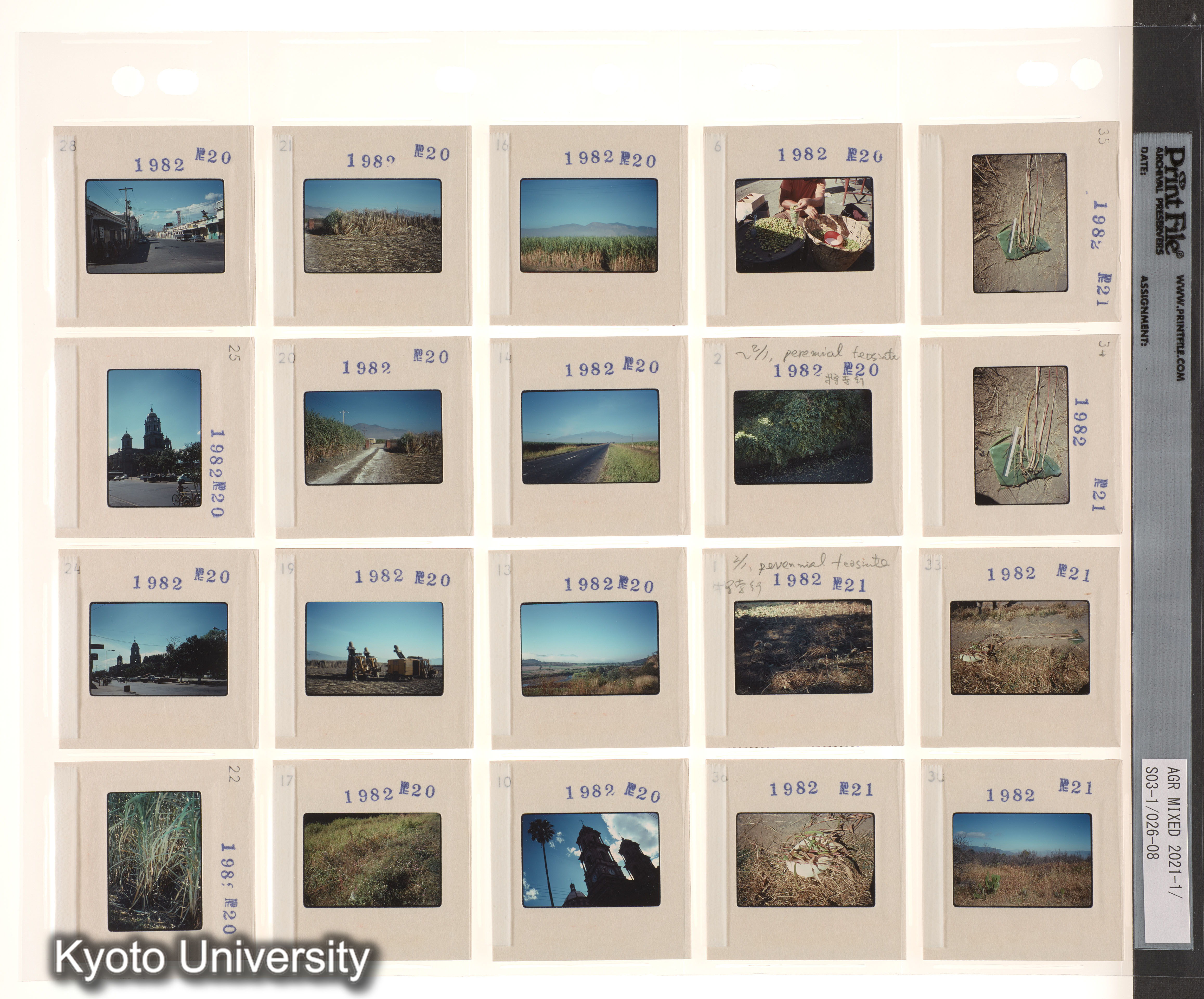 EMG2予備；EMG3予備 (6)