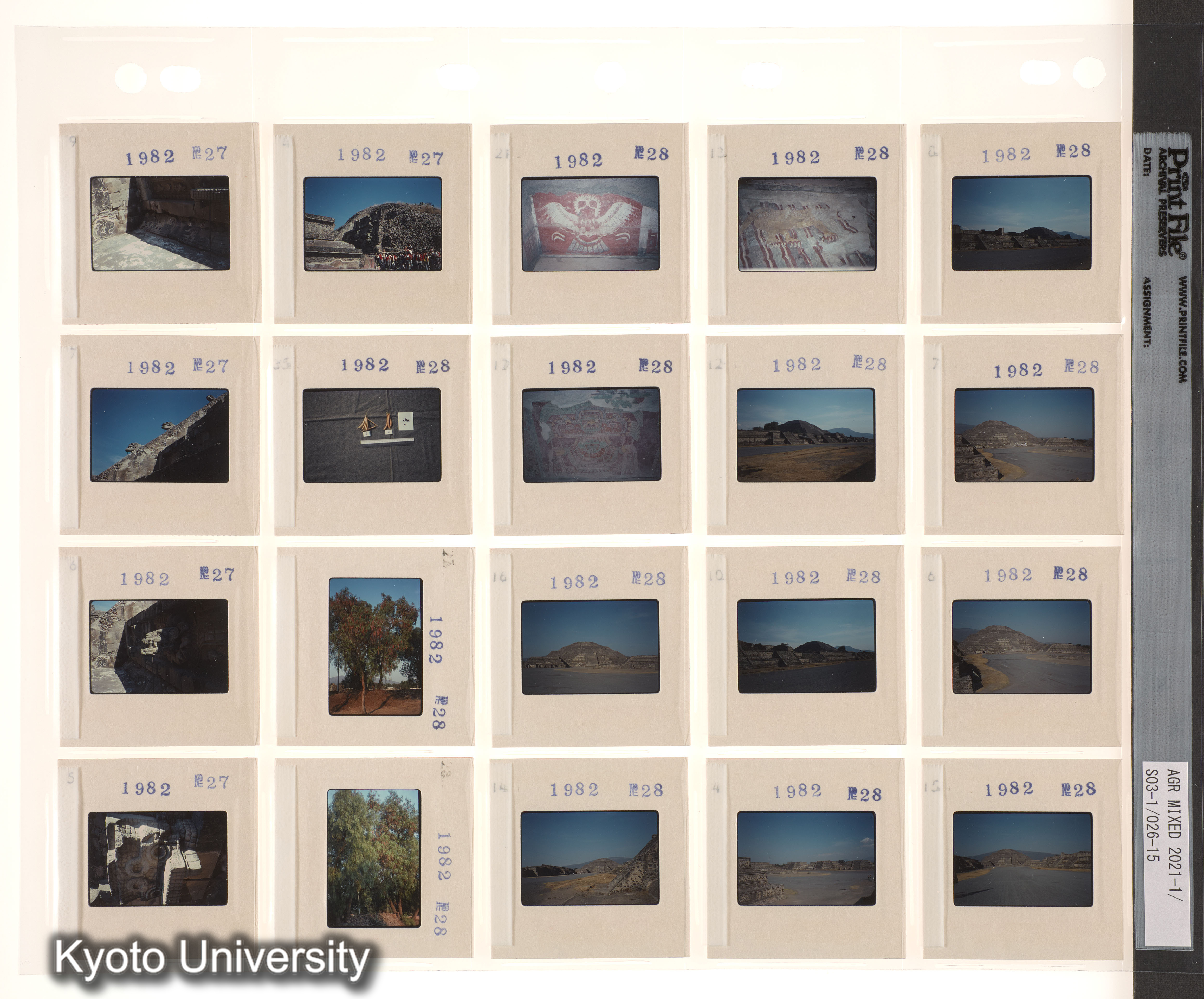 EMG2予備；EMG3予備 (7)