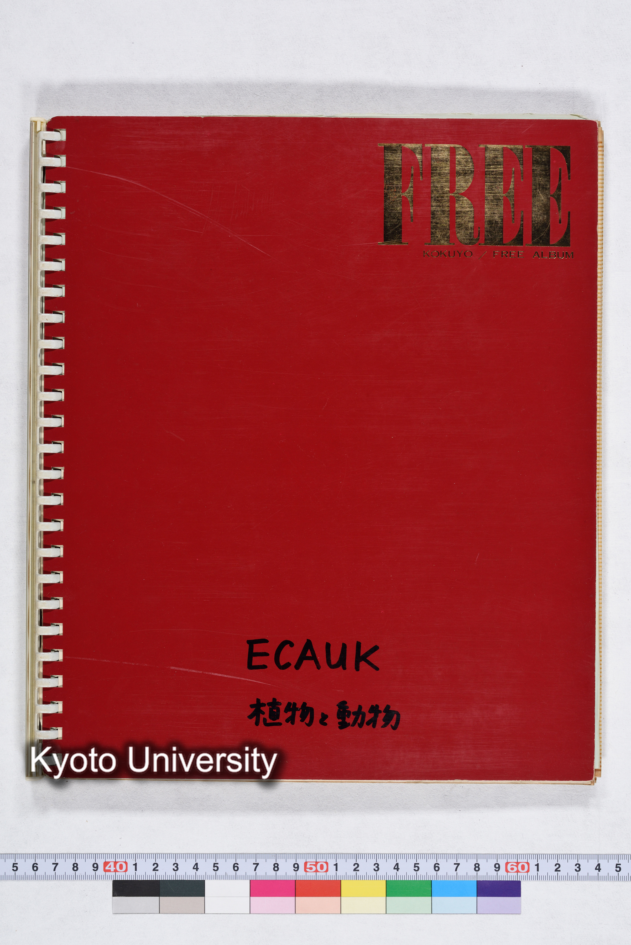 ECAUK（植物、動物） (1)