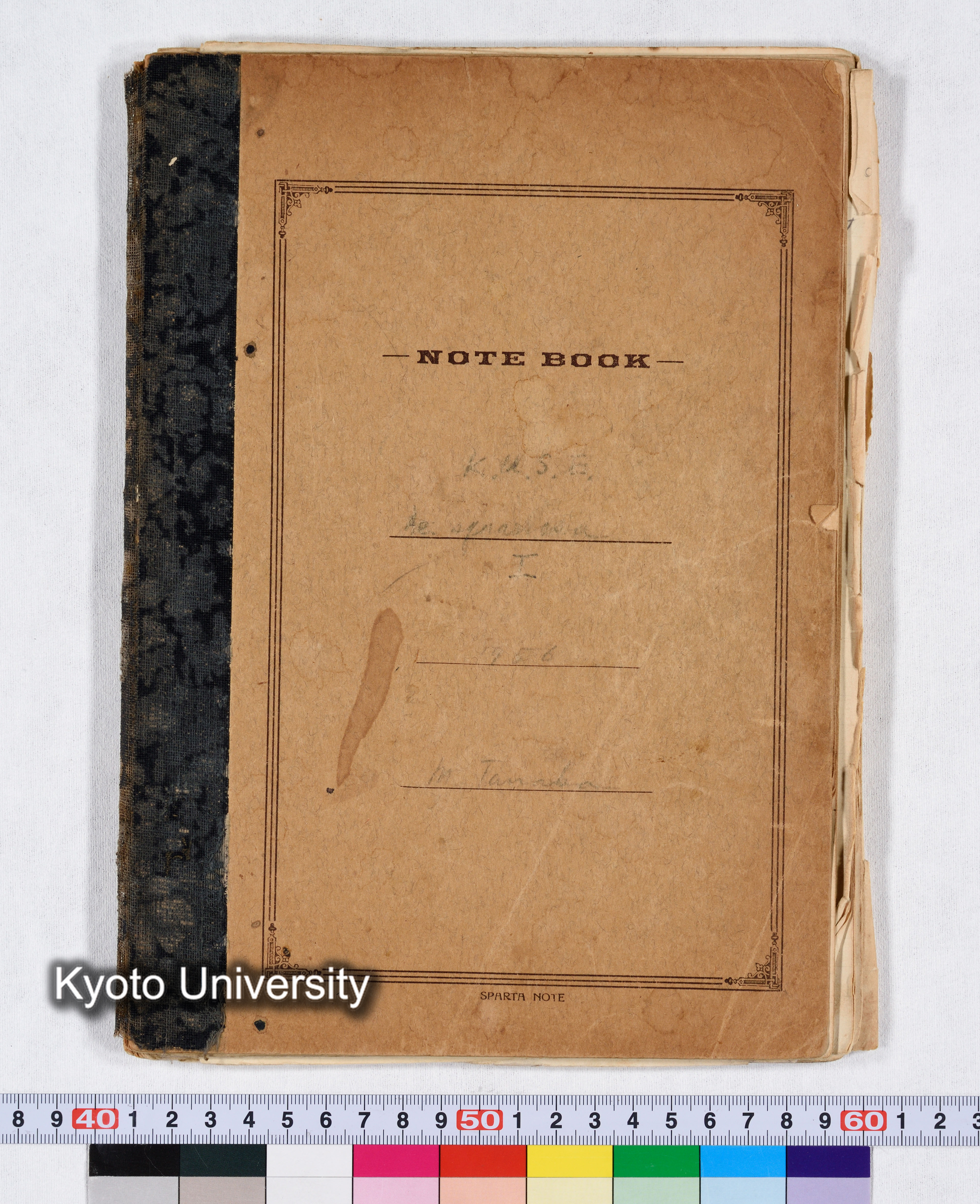 K.U.S.E Ae.squarrosa I 1956 (1)