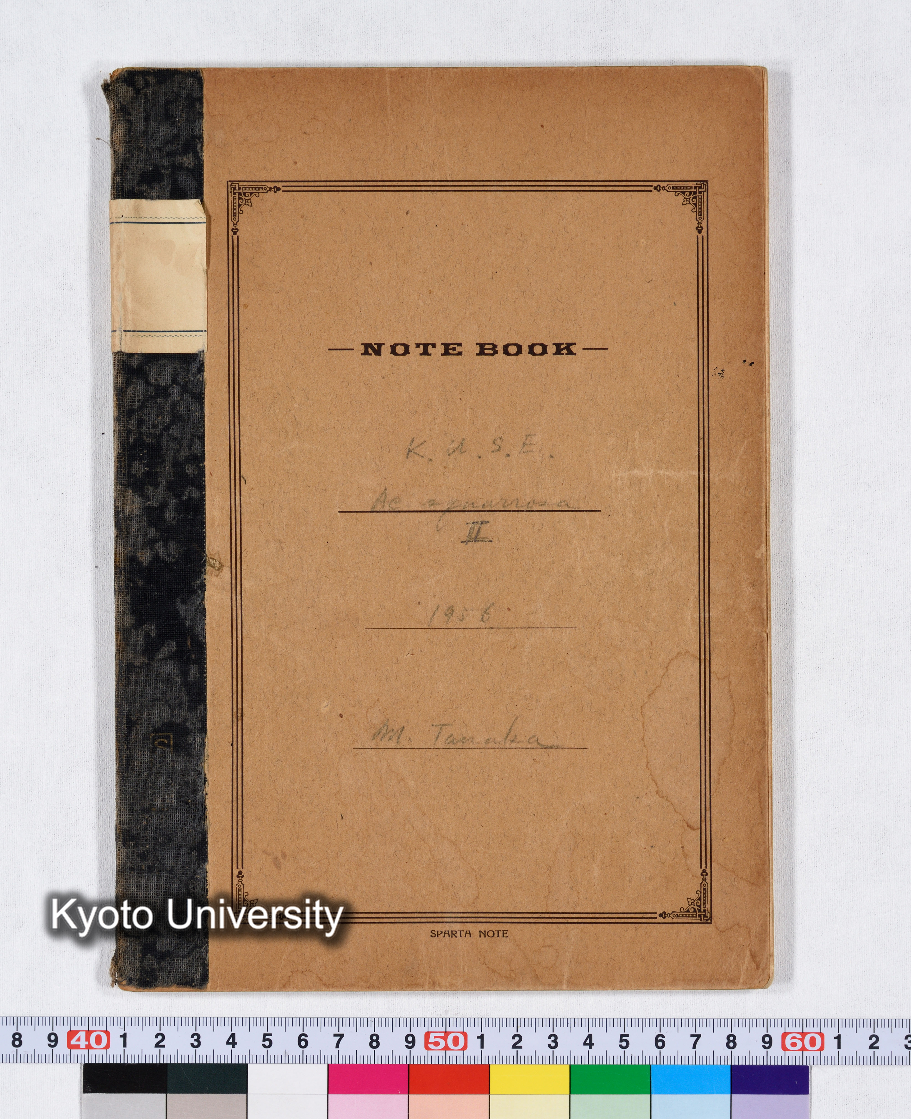 K.U.S.E Ae.squarrosa II 1956 (1)