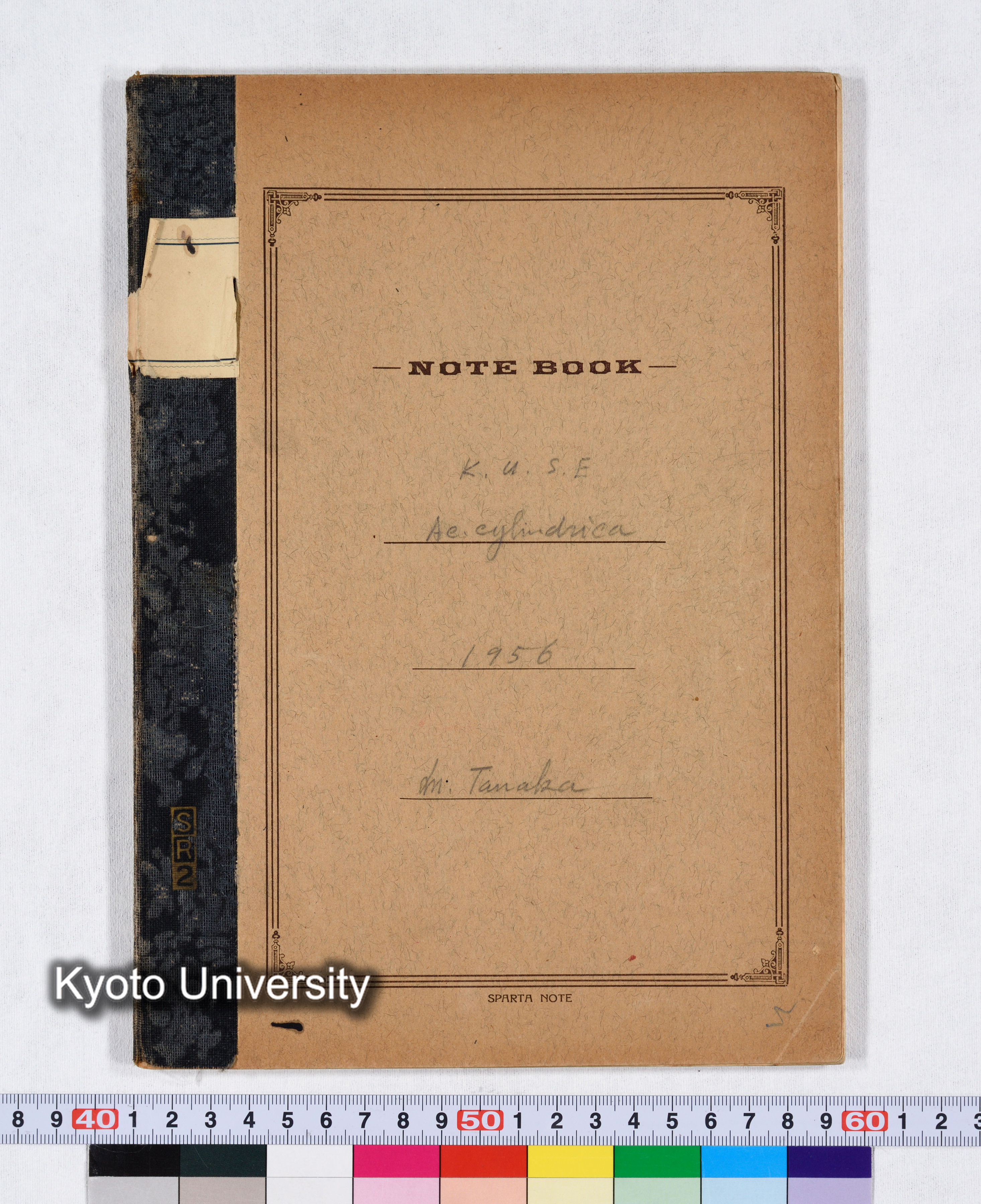 K.U.S.E Ae.cylindrica I 1956 (1)