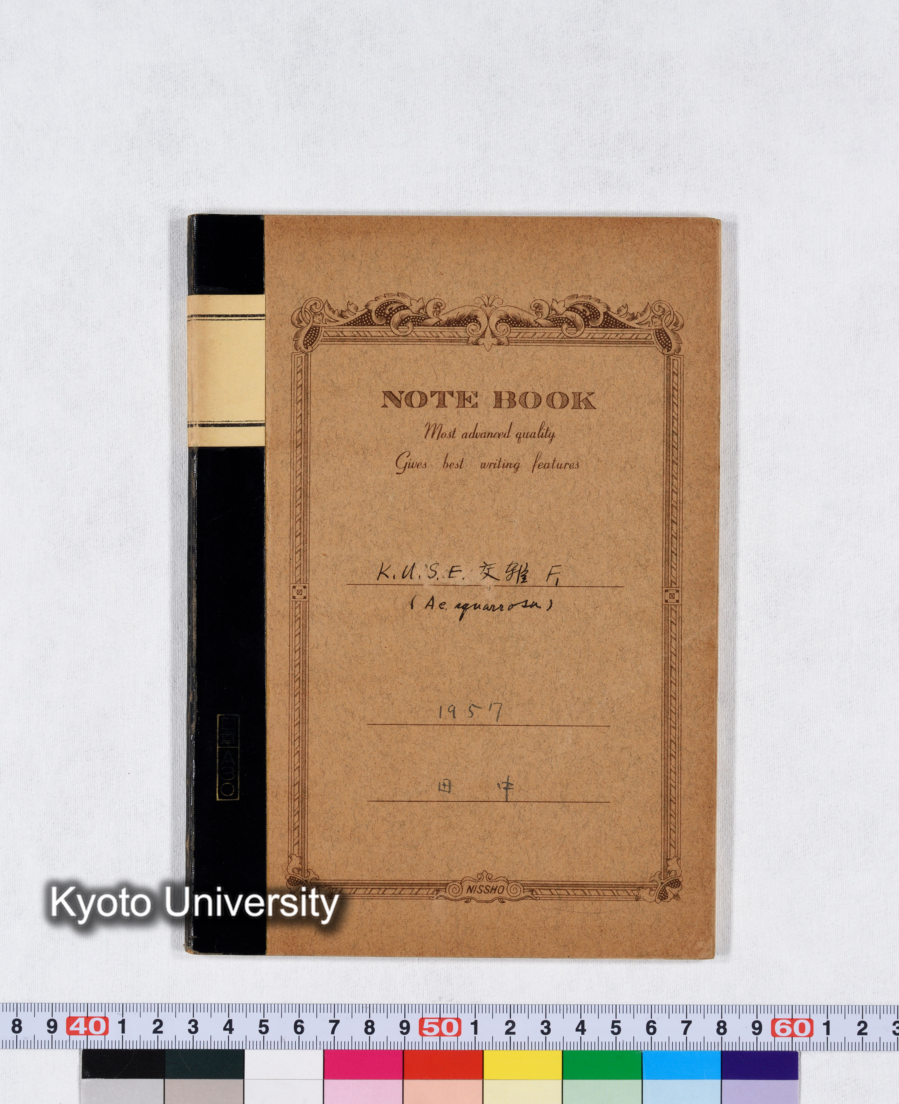 K.U.S.E 交雑 F1 (Ae.squarossa) 1957 (1)