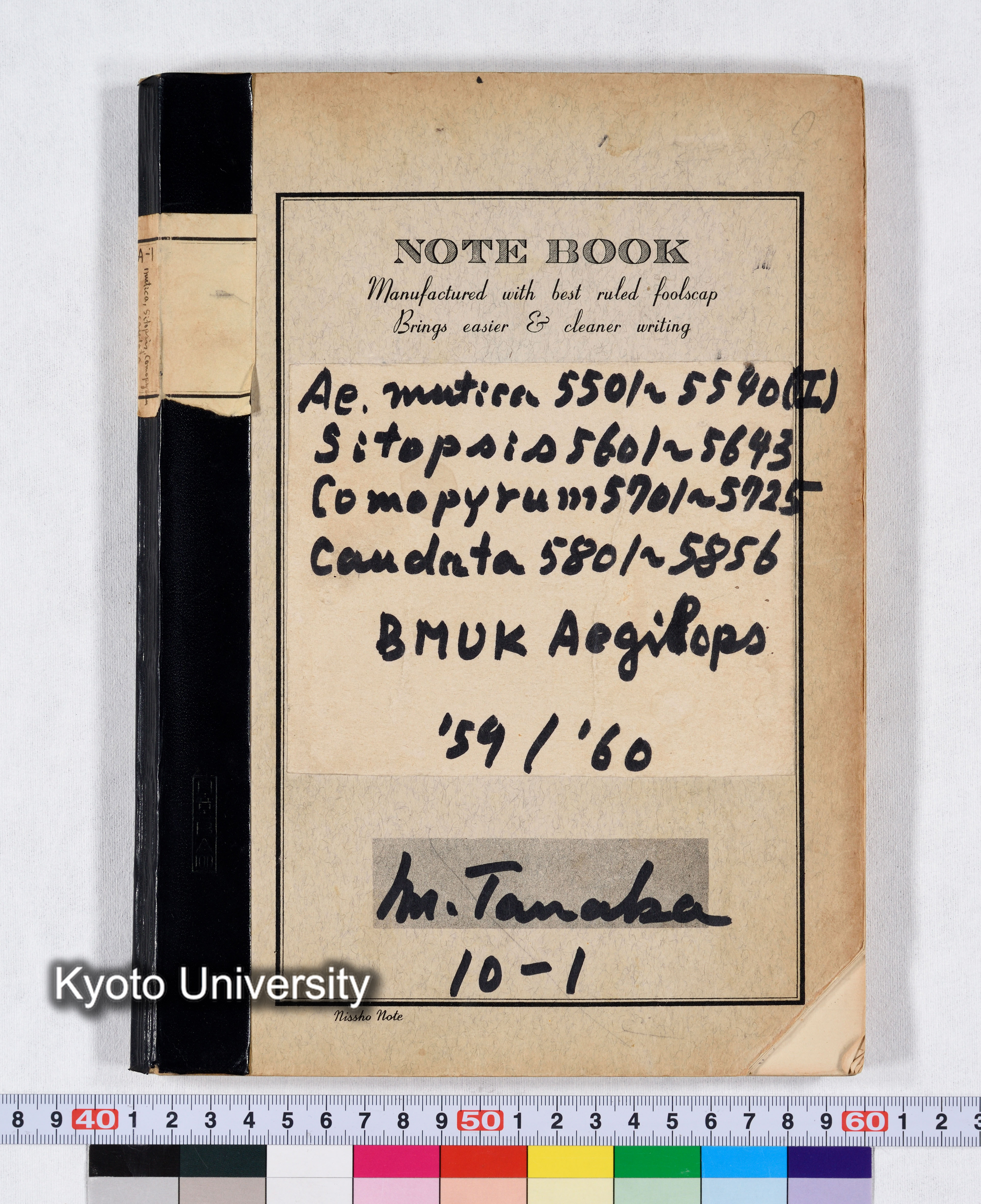 Ae.mutica 5501～5540(II) Sitopsis 5601～5643 Comopyrum 5701～5725 Caudata 5801～5856 BMUK Aegilops '59/'60 10-1 (1)