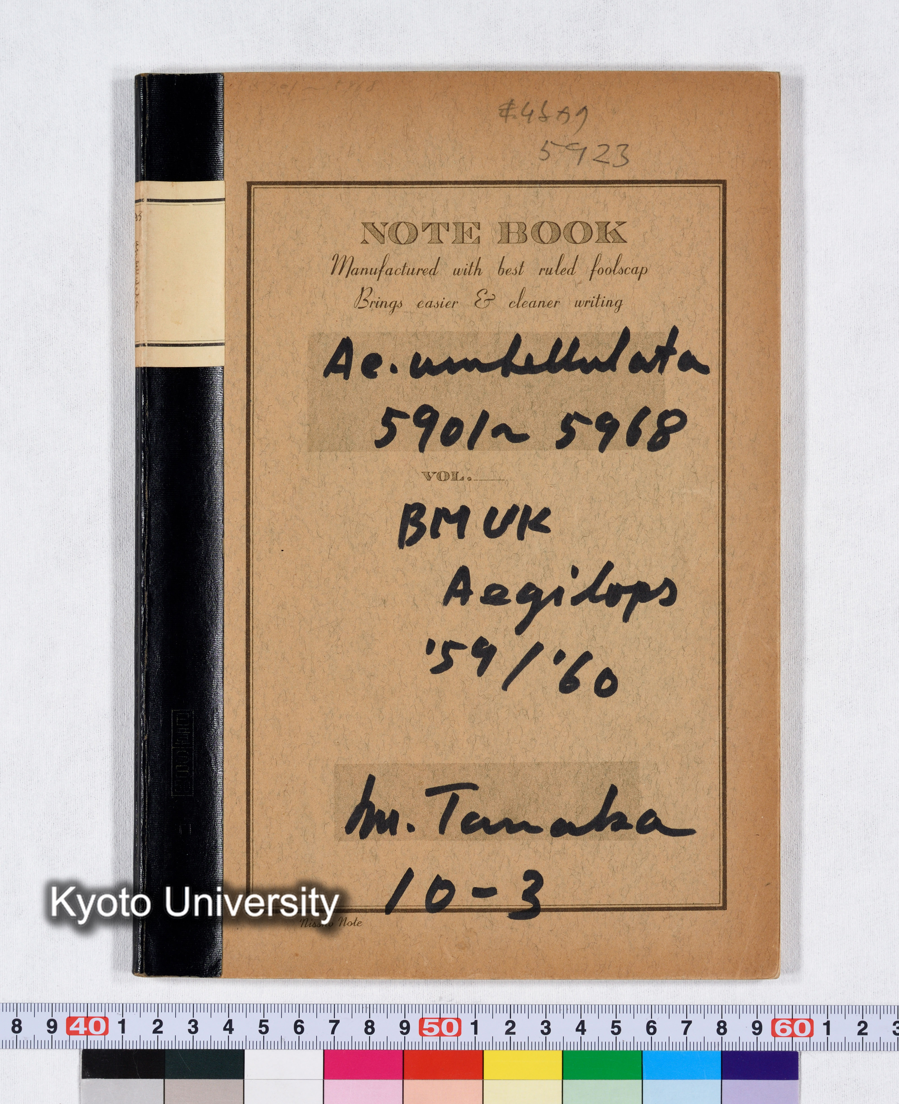 Ae.umbellulata 5901～5968 BMUK Aegilops '59/'60 10-3 (1)