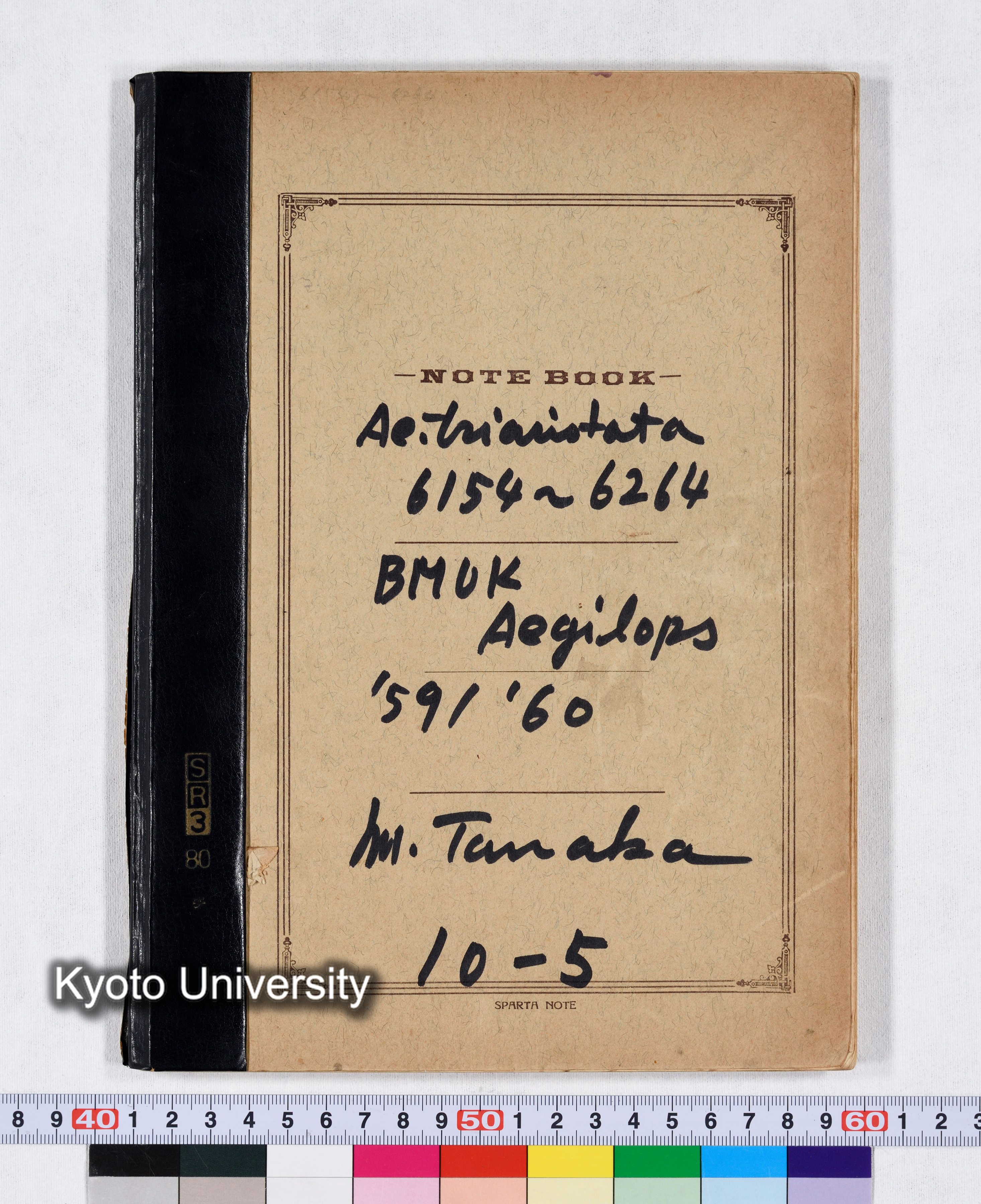 Ae.triaristata 6154～6264 BMUK Aegilops '59/'60 10-5 (1)