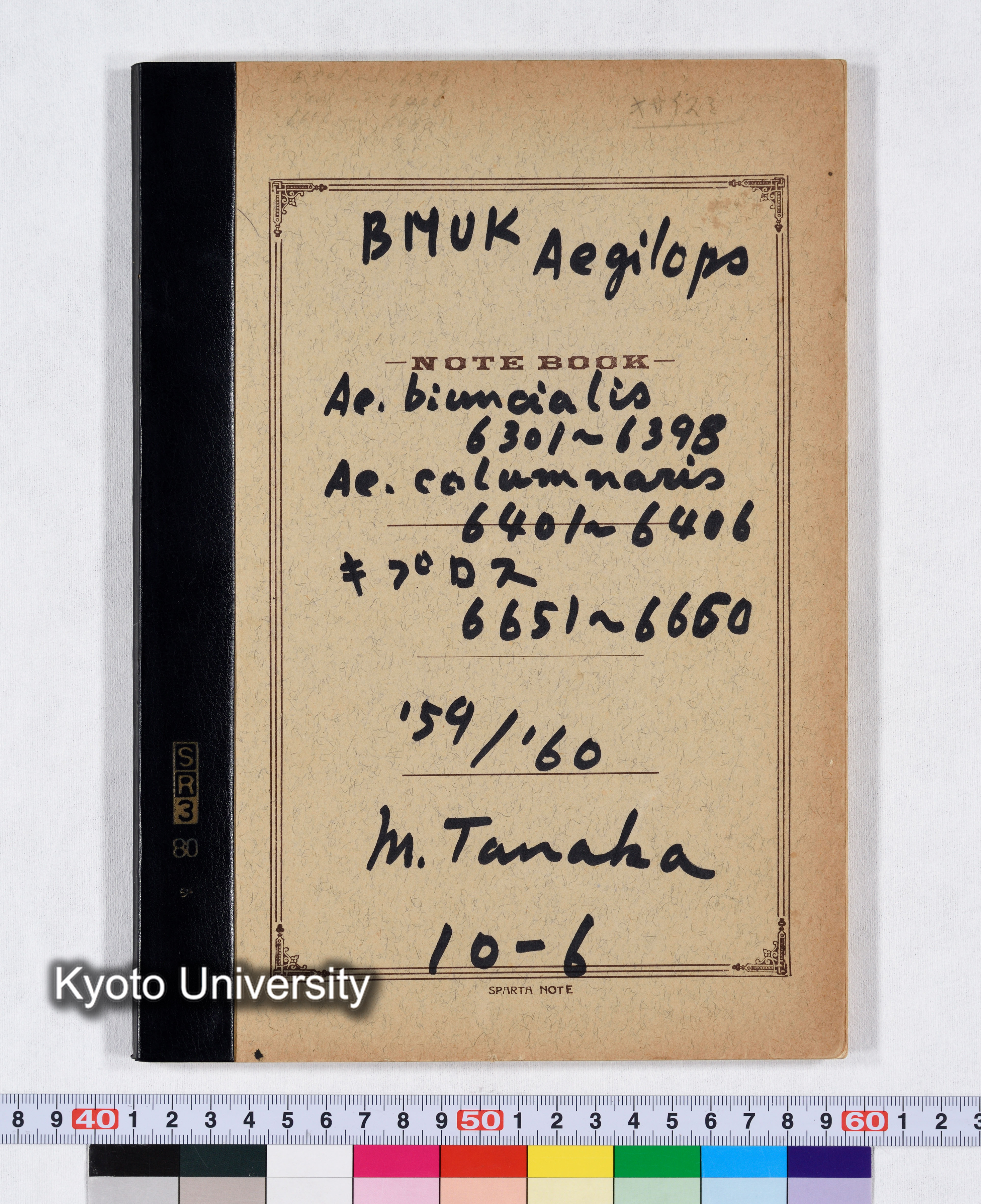 BMUK Aegilops Ae.biuncialis 6301～6398 Ae.columnaris 6401～6406 キプロス 6651～6660 '59/'60 10-6 (1)