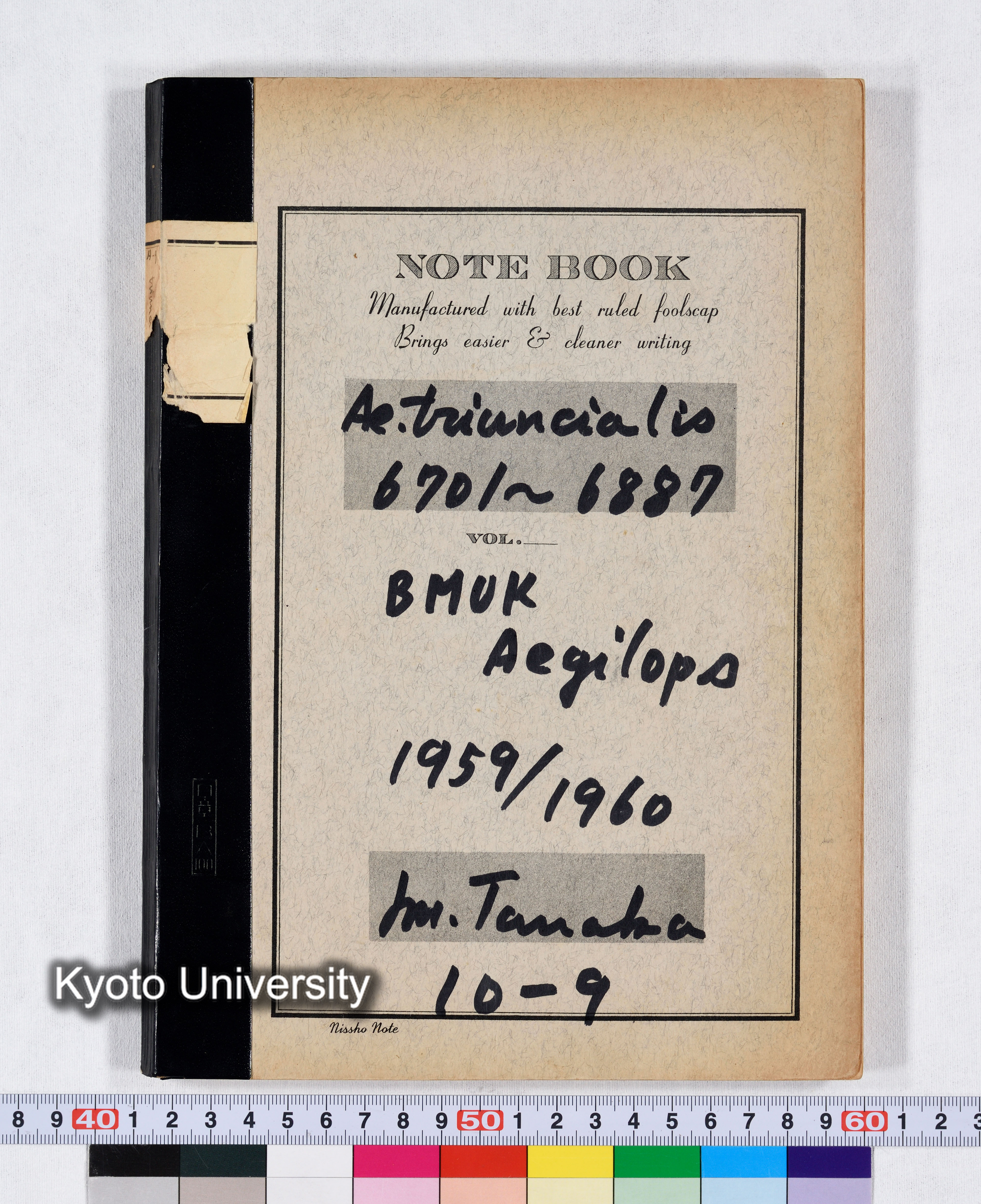 Ae.triuncialis 6701～6887 BMUK Aegilops 1959/1960 10-9 (1)