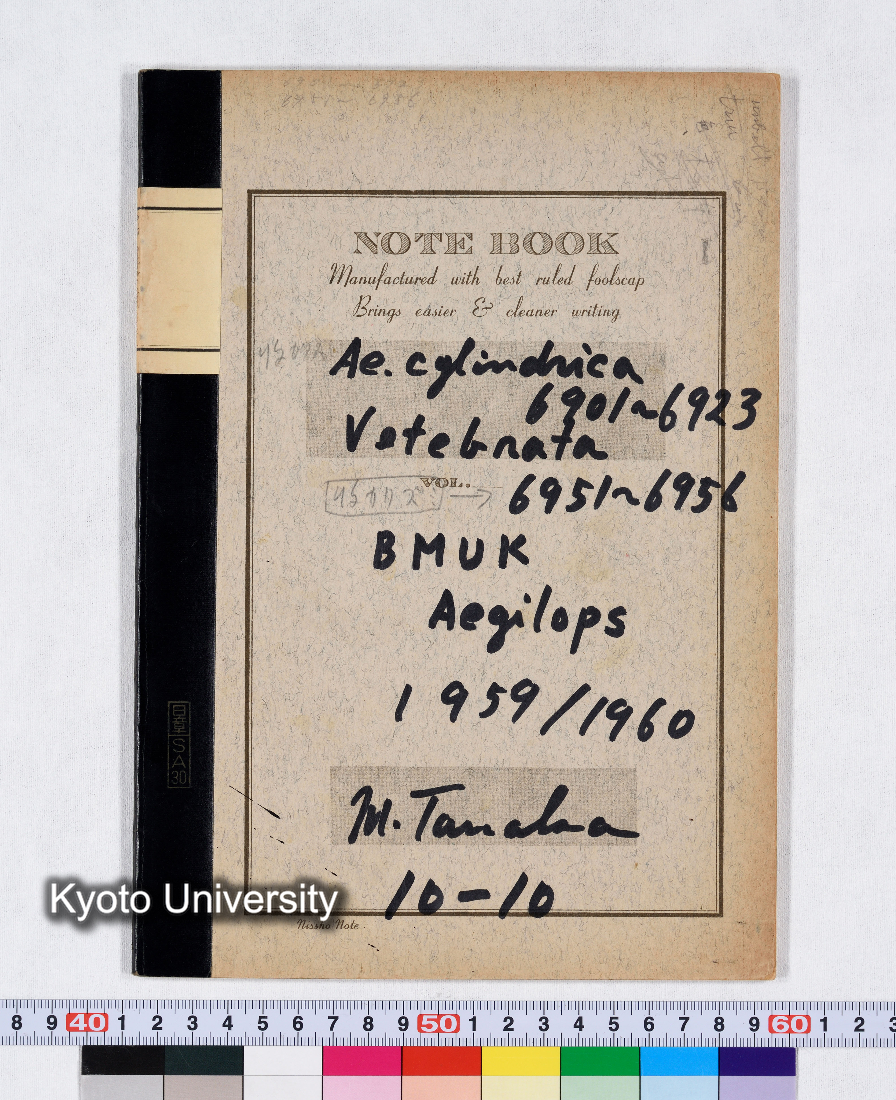 Ae.cylindrica 6901～6923 Vetebrata 6951～6956 BMUK Aegilops 1959/1960 10-10 (1)