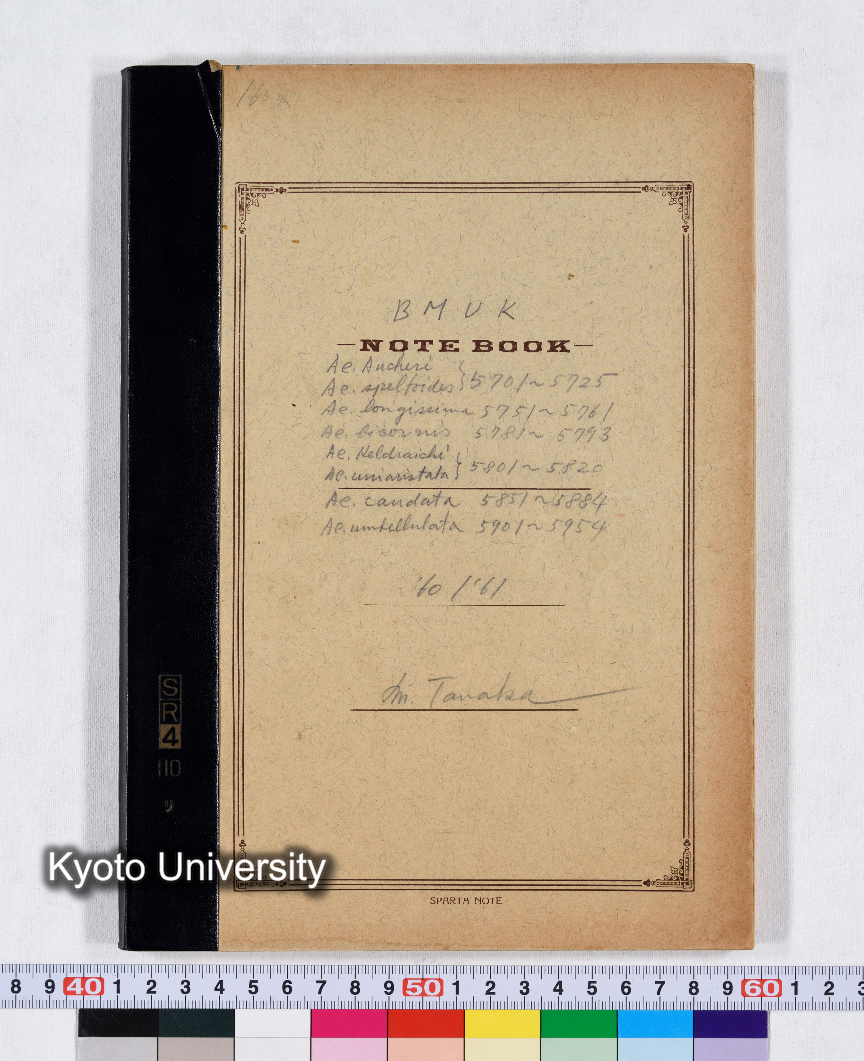 BMUK Ae.Aucheri Ae.speltoides 5701～5725 Ae.longissima 5751～5761 Ae.bicornis 5781～5793 Ae.Heldreichii Ae.uniaristata 5801～5820 Ae.caudata 5851～5884 Ae.umbellulata 5901～5954 '60/'61 (1)