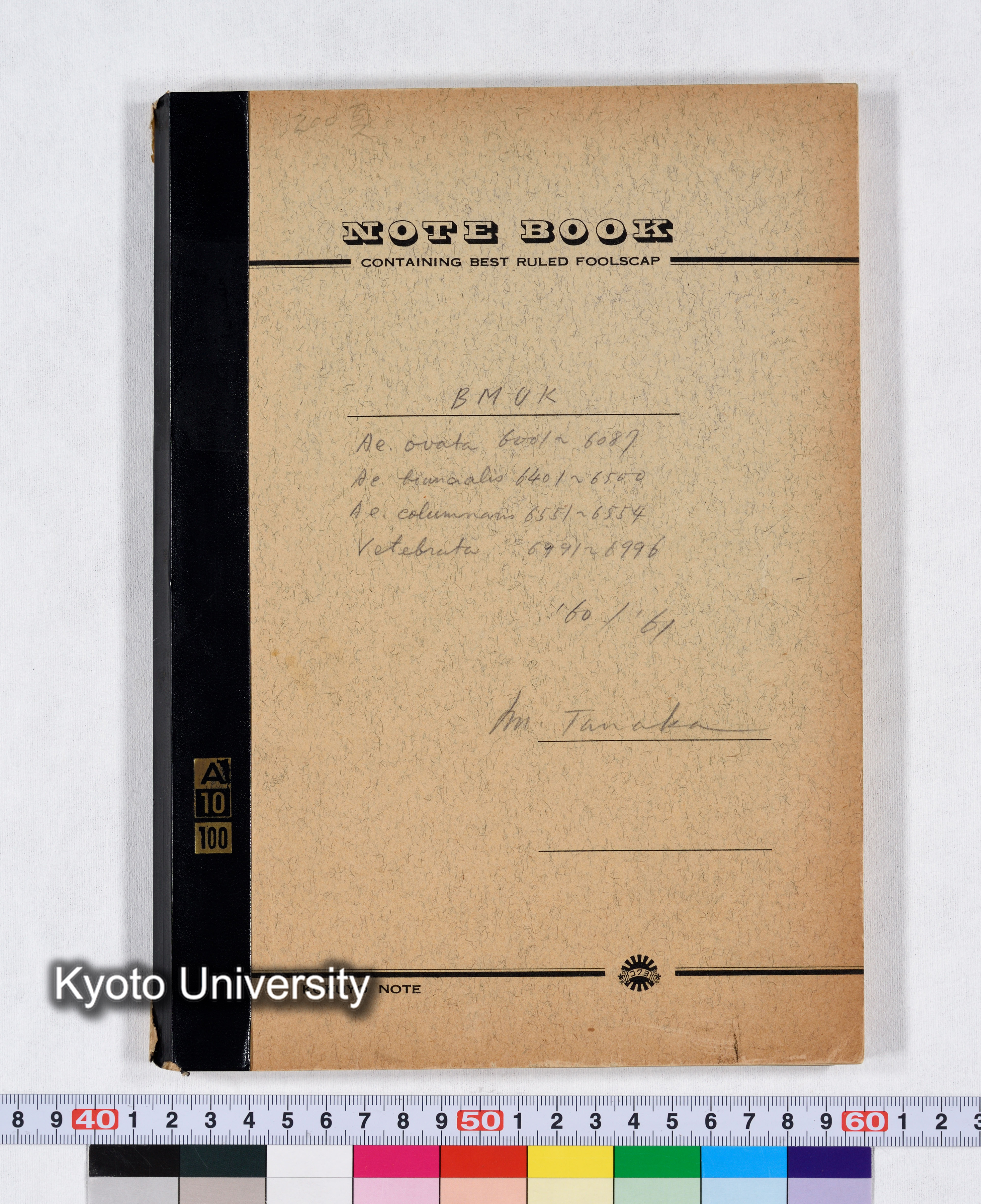 BMUK Ae.ovata 6001～6087 Ae.biuncialis 6401～6500 Ae.columnaris 6551～6554 Vertebrata 6991～6996 '60/'61 (1)