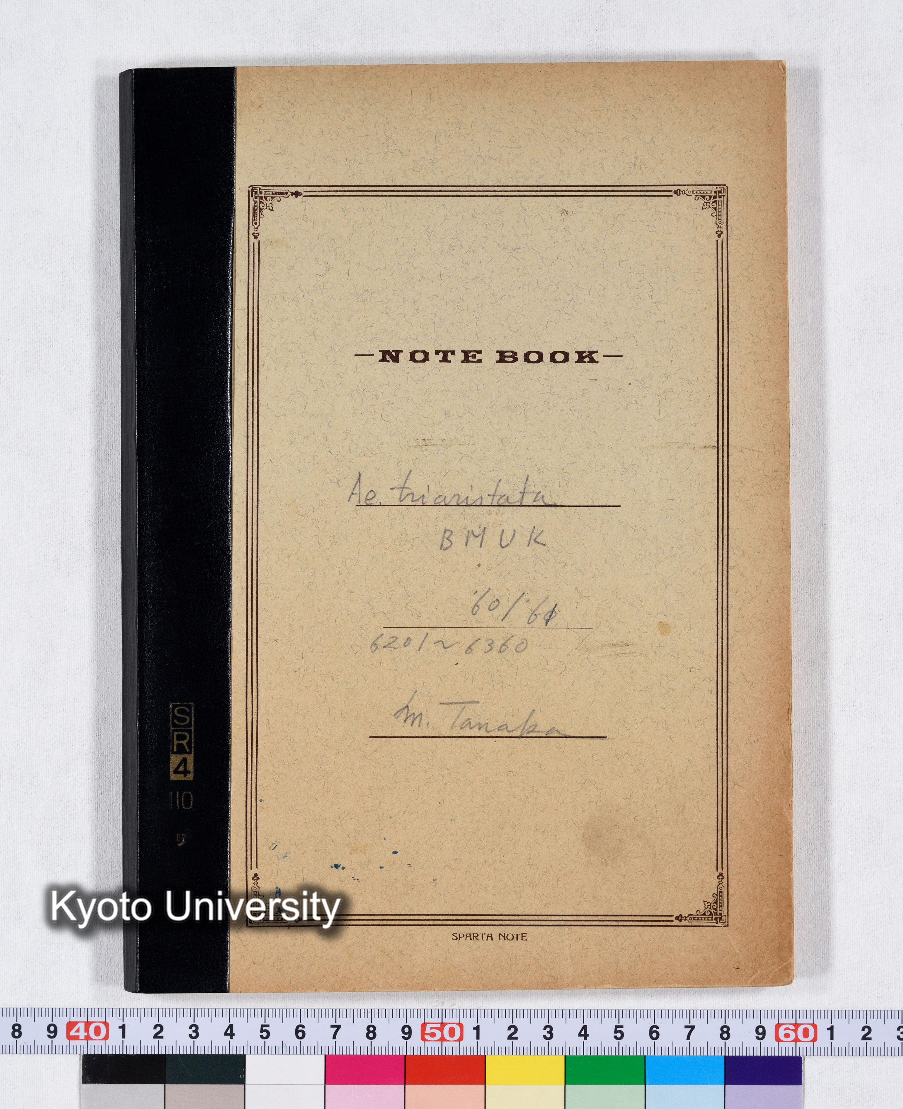 Ae.triaristata BMUK '60/'61 6201～6360 (1)