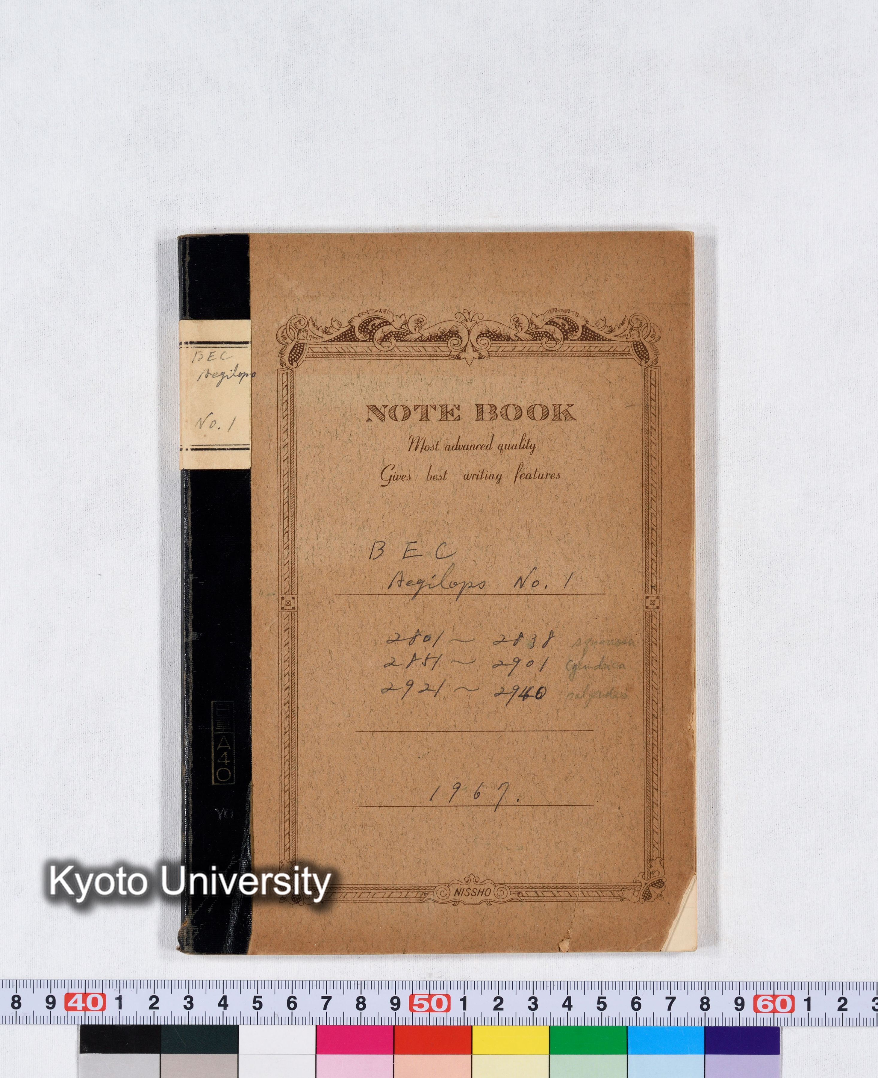 BEC Aegilops No.1 2801～2838 squarrosa 2851～2901 cylindrica 2921～2940 polyeides (1)